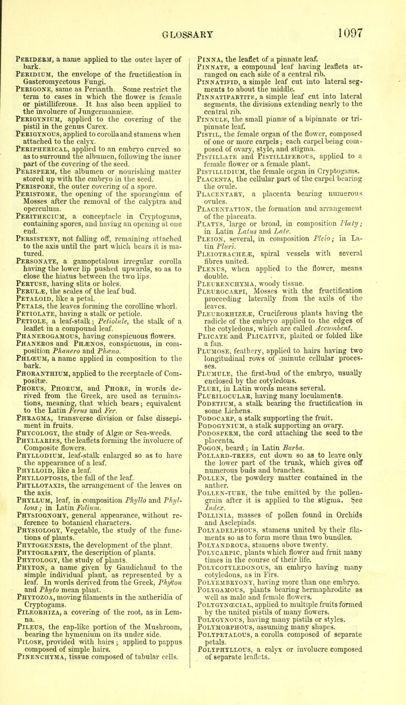 Periderm, a name applied to the outer layer of bark. Peridium, the envelope of the fructification in Gasteromycetous Fungi. Perigone, same as Perianth. Some restrict the term to cases in which the flower is female or pistilliferous. It has also been applied to the involucre of Jungermanniese. Perigynium, applied to the covering of the pistil in the genus Carex. Perigynous, applied to corolla and stamens when attached to the calyx. Peripherical, applied to an embryo curved so as to surround the albumen, following the inner part of the covering of the seed. Perisperm, the albumen or nourishing matter stored up with the embryo in the seed. Perispore, the outer covering of a spore. Peristome, the opening of the sporangium of Mosses after the removal of the calyptra and operculum. Perithecium, a conceptacle in Cryptogams, containing spores, and having an opening at one end. Persistent, not falling off, remaining attached to the axis until the part which bears it is ma- tured. Personate, a gamopetalous irregular corolla having the lower lip pushed upwards, so as to close the hiatus between the two lips. Pertuse, having slits or holes. Perula:, the scales of the leaf bud. Petaloid, like a petal. Petals, the leaves forming the corolline whorl. Petiolate, having a stalk or petiole. Petiole, a leaf-stalk; Petiolule, the stalk of a leaflet in a compound leaf. Phanerogamous, having conspicuous flowers. Phaneros and Phonos, conspicuous, in com- position Phanero and Pheeno. Phl(EUM, a name applied in composition to the bark. Phoranthium, applied to the receptacle of Com- positae. Phorus, Phorum, and Phore, in words de- rived from the Greek, are used as termina- tions, meaning, that which bears; equivalent to the Latin Ferns and Per. Phragma, transverse division or false dissepi- ment in fruits. Phycology, the study of Algae or Sea-weeds. Phyllaries, the leaflets forming the involucre of Composite flowers. Phyllodium, leaf-stalk enlarged so as to have the appearance of a leaf. Phylloid, like a leaf. Phylloptosis, the fall of the leaf. Phyllotaxis, the arrangement of the leaves on the axis. Phyllum, leaf, in composition Phyllo and Phyl- lous; in Latin Folium. Physiognomy, general appearance, without re- ference to botanical characters. Physiology, Vegetable, the study of the func- tions of plants. Phytogenesis, the development of the plant. Phytography, the description of plants. Phytology, the study of plants. Phyton, a name given by Gaudichaud to the simple individual plant, as represented by a leaf. In words derived from the Greek, Photon and Phyto mean plant. Phytozoa, moving filaments in the antheridia of Cryptogams. Pileorhiza, a covering of the root, as in Lem- na. Pileus, the cap-like portion of the Mushroom, bearing the hymenium on its under side. Pilose, provided with hairs; applied to pappus composed of simple hairs. Pinenchyma, tissue composed of tabular cells. Pinna, the leaflet of a pinnate leaf. Pinnate, a compound leaf having leaflets ar- ranged on each side of a central rib. Pinnatifid, a simple leaf cut into lateral seg- ments to about the middle. Pinnatipartite, a simple leaf cut into lateral segments, the divisions extending nearly to the central rib. j Pinnule, the small pinnae of a bipinnate or tri- pinnate leaf. Pistil, the female organ of the flower, composed of one or more carpels; each carpel being com- posed of ovary, style, and stigma. Pistillate and Pistilliferous, applied to a female flower or a female plant. Pistillidium, the female organ in Cryptogams. Placenta, the cellular part of the carpel bearing the ovule. Placentary, a placenta bearing numerous ovules. Placentation, the formation and arrangement of the placenta. Platys, large or broad, in composition Platy; in Latin Latus and Late. Pleion, several, in composition Pleio; in La- tin Pluri. Pleiotrache^, spiral vessels with several fibres united. Plenus, when applied to the flower, means double. Pleurenchyma, woody tissue. Pleurocarpi, Mosses with the fructification proceeding laterally from the axils of the leaves. PleurorhizEj®, Cruciferous plants having the radicle of the embryo applied to the edges of the cotyledons, which are called Accumbent. Plicate and Plicatiye, plaited or folded like a fan. Plumose, feathery, applied to hairs having two longitudinal rows of ^minute cellular proces- ses. Plumule, the first-bud of the embryo, usually enclosed by the cotyledons. Pluri, in Latin words means several. Plurilocular, having many loculaments. Podetium, a stalk bearing the fructification in some Lichens. Podocarp, a stalk supporting the fruit. Podogynium, a stalk supporting an ovary. Podosperm, the cord attaching the seed to the placenta. Pogon, beard; in Latin Barba. Pollard-trees, cut down so as to leave only the lower part of the trunk, which gives off numerous buds and branches. Pollen, the powdery matter contained in the anther. Pollen-tube, the tube emitted by the pollen- grain after it is applied to the stigma. See Index. Pollinia, masses of pollen found in Orchids and Asclepiads. Polyadelphous, stamens united by their fila- ments so as to form more than two bundles. Polyandrous, stamens above twenty. Polycarpic, plants which flower and fruit many times in the course of their life. Polycotyledonous, an embryo having many cotyledons, as in Firs. Polyembryony, having more than one embryo. Polygamous, plants bearing hermaphrodite as well as male and female flowers. Polygyncecial, applied to multiple fruits formed by the united pistils of many flowers. Polygynous, having many pistils or styles. Polymorphous, assuming many shapes. Polypetalous, a corolla composed of separate petals. Polyphyllous, a calyx or involucre composed of separate leaflets.
