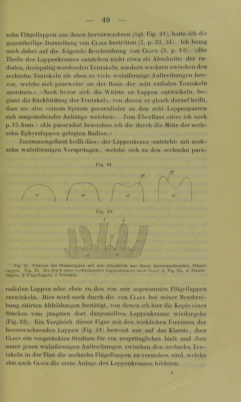 zehn FlUi^oIlappen aus il\nen hervorwachsen (vgl. Fig. 21), hatte ich die gegentheilige Darstellung von Ci.aus bestritten (7, p. 33, 3i). Ich bezog mich dabei auf die folgende Beschreibung von Claus (3, p. 10). »Die Theile des Lappenkranzes entstehen nicht etwa als Abschnitte der ra- dialen, dreis|)allig werdenden Tentakeln, sondern wachsen zwischen den sechzehn Tentakeln als eben so viele wulstförinige Auftreibungen her- vor, welche sich paarweise an der Basis der acht radialen Tentakeln anordnen.« »Noch bevor sich die Wülste zu Lappen entwickeln, be- ginnt die Bückbildung der Tentakel«, von denen es gleich darauf heißt, dass sie also »einem System pararadialer zu den acht Lappenpaaren sich umgestaltender Anhänge weichen«. Zum Überfluss citire ich noch p. 15 Anm.: »Als pararadial bezeichne ich die durch die Mitte der sech- zehn Ephyralappen gelegten Radien.« Zusammengefasst heißt dies: der Lappenkranz »entsteht« mit sech- zehn wulstförmigen Vorsprüngen, welche sich zu den sechzehn para- Fig. 21. Fig. 22. Fig. 21. Uinriaso der Stammlappon mit den allmälilich aus ihnen hervorwachsenden Flügel- lappen. Fig. 22. Ein Stück eines vorwachsenden Lappenkranzes nach Claus (3, Fig. 2G). st Stamm- lappon, fl Flügellappen, t Tentakel. radialen Lappen oder eben zu den von mir sogenannten Flügellappen entwickeln. Dies wird noch durch die von Glaus bei seiner Beschrei- bung citirten Abbildungen bestätigt, von denen ich hier die Kopie eines Stückes vom jüngsten dort dargestellten Lappenkranze wMedergebe (Fig. 22). Ein Vergleich dieser Figur mit den wirklichen Umrissen der heran wachsenden Lappen (Fig. 21) beweist mir auf das Klarste, dass Claus ein vorgerücktes Stadium für ein ursprüngliches hielt und dass unter jenen wulstförmigen Auftreibungen zwischen den sechzehn Ten- takeln in derThat die sechzehn Flügellappen zu verstehen sind, welche also nach Claus die erste Anlage des Lappenkranzes bildeten.