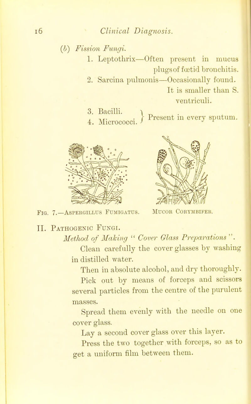 (b) Fission Fungi. 1. Leptothrix—Often present in mucus plugs of fastid bronchitis. 2. Sai'cina pulmonis—Occasionally found. It is smaller than S. ventriculi. Fig. 7.—Aspergillus Fumigatus. Mucor Cohymbifer. II. Pathogenic Fungi. Method of Making  Cover Glass Pre^jaratioiis . Clean carefully the cover glasses by washing in distilled water. Then in absolute alcohol, and dry thoroughly. Pick out by means of forceps and scissors several particles from the centre of the pui-ulent masses. Spread them evenly with the needle on one cover glass. Lay a second cover glass over this layer. Press the two together mth forceps, so as to get a uniform film between them.