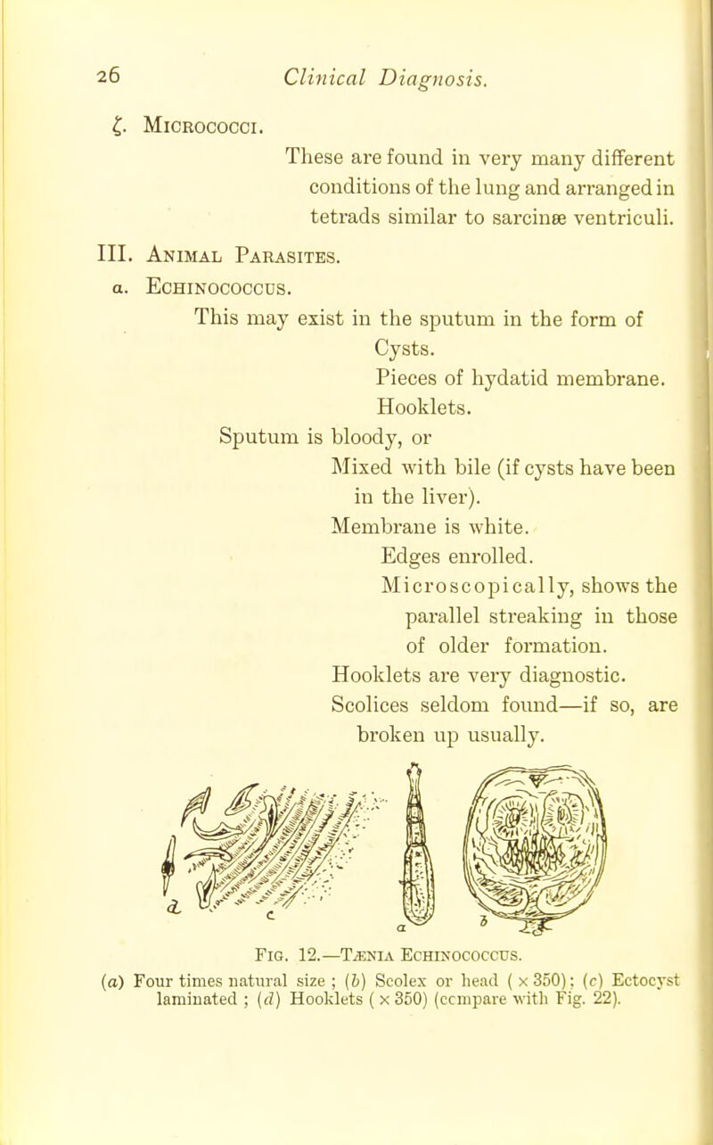 C Micrococci. These are found in very many different conditions of the lung and arranged in tetrads similar to sarcinee ventriculi. III. Animal Parasites. a. ECHINOCOCCDS. This may exist in the sputum in the form of Cysts. Pieces of hydatid membrane. Hooklets. Sputum is bloody, or Mixed with bile (if cysts have been in the liver). Membrane is white. Edges enrolled. Microscopically, shows the • parallel streaking in those of older formation. Hooklets are very diagnostic. Scolices seldom found—if so, are broken up usually. Fig. 12.—TiENiA Echinococcus. (a) Four times natural size; (&) Scolex or head (x350); (c) Ectocyst laminated ; {d) Hooljlets ( x 350) (ccmpare with Fig. 22).