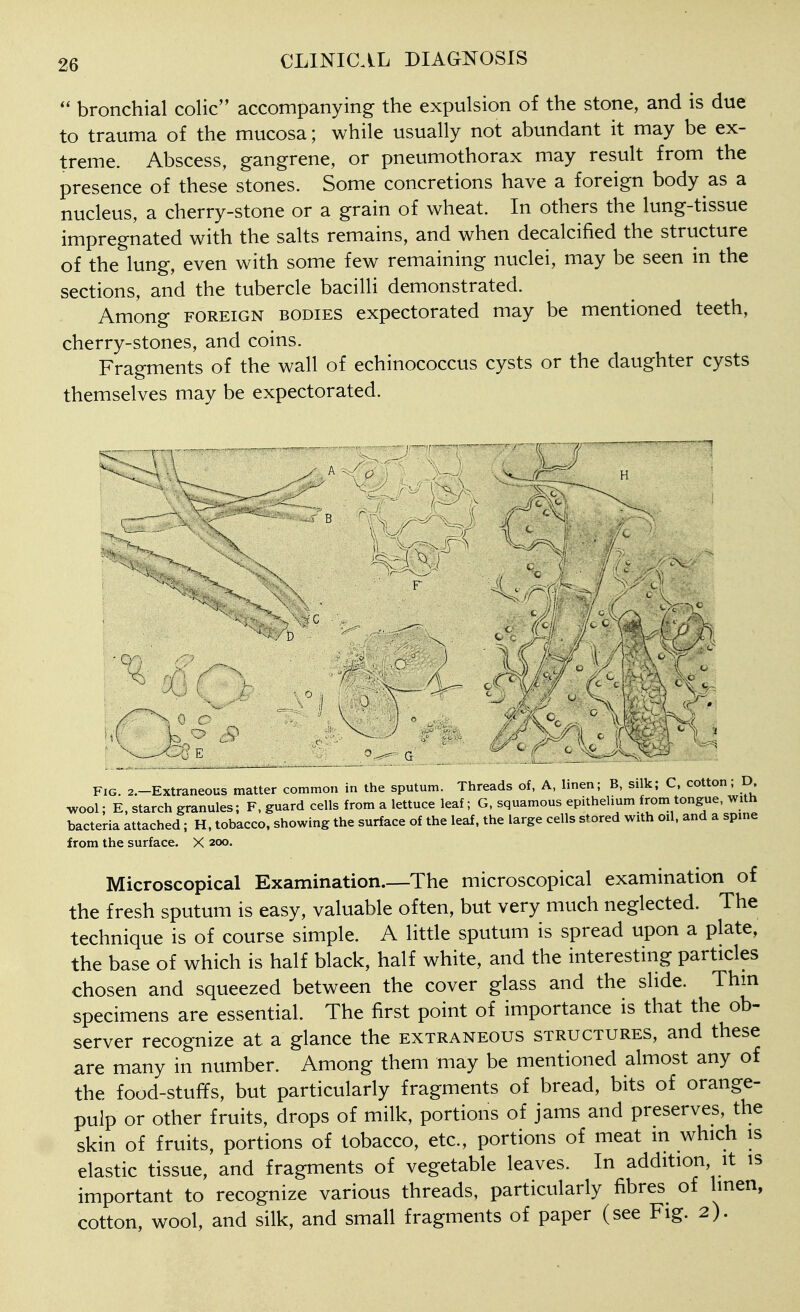 bronchial coHc accompanying the expulsion of the stone, and is due to trauma of the mucosa; while usually not abundant it may be ex- treme. Abscess, gangrene, or pneumothorax may result from the presence of these stones. Some concretions have a foreign body as a nucleus, a cherry-stone or a grain of wheat. In others the lung-tissue impregnated with the salts remains, and when decalcified the structure of the lung, even with some few remaining nuclei, may be seen in the sections, and the tubercle bacilli demonstrated. Among FOREIGN BODIES cxpcctoratcd may be mentioned teeth, cherry-stones, and coins. Fragments of the wall of echinococcus cysts or the daughter cysts themselves may be expectorated. 1 * \ H F ^- - ■ -, (. '■• • ^ .-c ■ Fig. 2.-Extraneous matter common in the sputum. Threads of, A, linen; B, silk; C, cotton; D W; E, starch granules; F, guard cells from a lettuce leaf; G, squamous epithelium from tongue, with bacteria attached; H, tobacco, showing the surface of the leaf, the large cells stored with oil, and a spine from the surface. X 200. Microscopical Examination.—The microscopical examination of the fresh sputum is easy, valuable often, but very much neglected. The technique is of course simple. A little sputum is spread upon a plate, the base of which is half black, half white, and the interesting particles chosen and squeezed between the cover glass and the slide. Thm specimens are essential. The first point of importance is that the ob- server recognize at a glance the extraneous structures, and these are many in number. Among them may be mentioned almost any of the food-stuffs, but particularly fragments of bread, bits of orange- pulp or other fruits, drops of milk, portions of jams and preserves, the skin of fruits, portions of tobacco, etc., portions of meat m which is elastic tissue, and fragments of vegetable leaves. In addition it is important to recognize various threads, particularly fibres of linen, cotton, wool, and silk, and small fragments of paper (see Fig. 2).