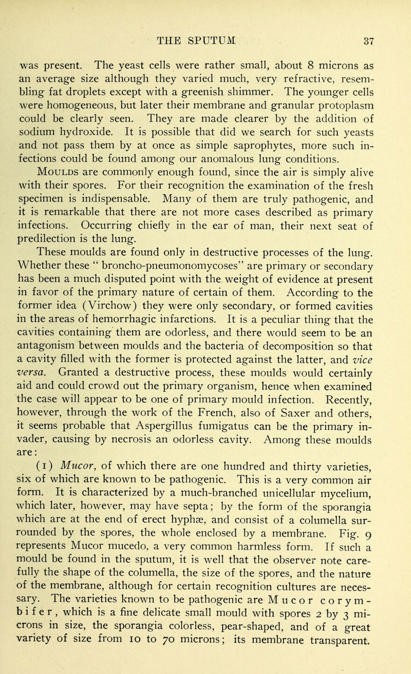 was present. The yeast cells were rather small, about 8 microns as an average size although they varied much, very refractive, resem- bling fat droplets except with a greenish shimmer. The younger cells were homogeneous, but later their membrane and granular protoplasm could be clearly seen. They are made clearer by the addition of sodium hydroxide. It is possible that did we search for such yeasts and not pass them by at once as simple saprophytes, more such in- fections could be found among our anomalous lung conditions. Moulds are commonly enough found, since the air is simply alive with their spores. For their recognition the examination of the fresh specimen is indispensable. Many of them are truly pathogenic, and it is remarkable that there are not more cases described as primary infections. Occurring chiefly in the ear of man, their next seat of predilection is the lung. These moulds are found only in destructive processes of the lung. Whether these  broncho-pneumonomycoses are primary or secondary has been a much disputed point with the weight of evidence at present in favor of the primary nature of certain of them. According to the former idea (Virchow) they were only secondary, or formed cavities in the areas of hemorrhagic infarctions. It is a peculiar thing that the cavities containing them are odorless, and there would seem to be an antagonism between moulds and the bacteria of decomposition so that a cavity filled with the former is protected against the latter, and vice versa. Granted a destructive process, these moulds would certainly aid and could crowd out the primary organism, hence when examined the case will appear to be one of primary mould infection. Recently, however, through the work of the French, also of Saxer and others, it seems probable that Aspergillus fumigatus can be the primary in- vader, causing by necrosis an odorless cavity. Among these moulds are: (I) Mucor, of which there are one hundred and thirty varieties, six of which are known to be pathogenic. This is a very common air form. It is characterized by a much-branched unicellular mycelium, which later, however, may have septa; by the form of the sporangia which are at the end of erect hyph^, and consist of a columella sur- rounded by the spores, the whole enclosed by a membrane. Fig. 9 represents Mucor mucedo, a very common harmless form. If such a mould be found in the sputum, it is well that the observer note care- fully the shape of the columella, the size of the spores, and the nature of the membrane, although for certain recognition cultures are neces- sary. The varieties known to be pathogenic are Mucor corym- b i f e r, which is a fine delicate small mould with spores 2 by 3 mi- crons in size, the sporangia colorless, pear-shaped, and of a great variety of size from 10 to 70 microns; its membrane transparent.