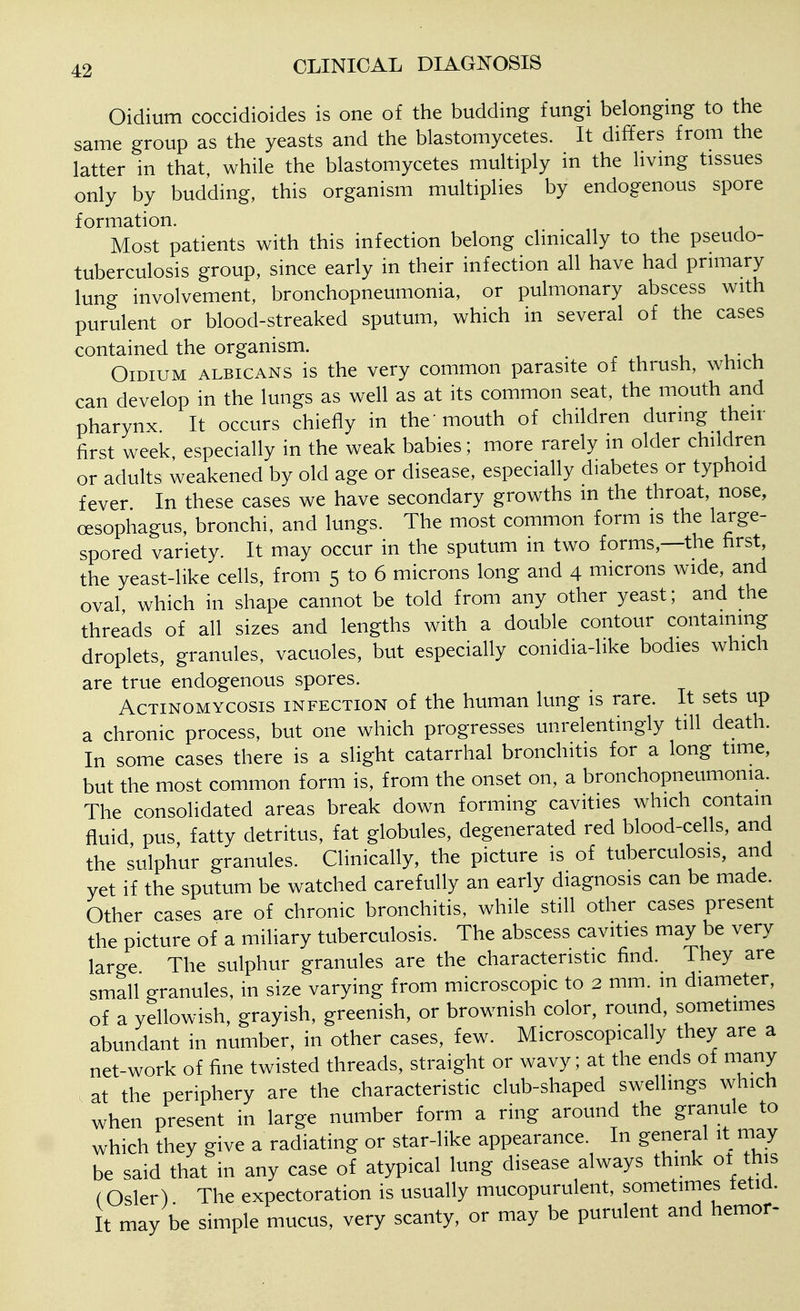 Oidium coccidioides is one of the budding fungi belonging to the same group as the yeasts and the blastomycetes. It differs from the latter in that, while the blastomycetes multiply in the living tissues only by budding, this organism multiplies by endogenous spore formation. Most patients with this infection belong clinically to the pseudo- tuberculosis group, since early in their infection all have had prmiary lung involvement, bronchopneumonia, or pulmonary abscess with purulent or blood-streaked sputum, which in several of the cases contained the organism. Oidium albicans is the very common parasite of thrush, which can develop in the lungs as well as at its common seat, the mouth and pharynx. It occurs chiefly in the mouth of children during then- first week especially in the weak babies; more rarely m older children or adults weakened by old age or disease, especially diabetes or typhoid fever In these cases we have secondary growths in the throat, nose, oesophagus, bronchi, and lungs. The most common form is the large- spored variety. It may occur in the sputum in two forms,—the first, the yeast-like cells, from 5 to 6 microns long and 4 microns wide, and oval which in shape cannot be told from any other yeast; and the threads of all sizes and lengths with a double contour containing droplets, granules, vacuoles, but especially conidia-like bodies which are true endogenous spores. Actinomycosis infection of the human lung is rare. It sets up a chronic process, but one which progresses unrelentingly till death. In some cases there is a slight catarrhal bronchitis for a long time, but the most common form is, from the onset on, a bronchopneumonia. The consolidated areas break down forming cavities which contain fluid pus fatty detritus, fat globules, degenerated red blood-cells, and the sulphur granules. Clinically, the picture is of tuberculosis, and yet if the sputum be watched carefully an early diagnosis can be made. Other cases are of chronic bronchitis, while still other cases present the picture of a miliary tuberculosis. The abscess cavities may be very large The sulphur granules are the characteristic find. They are small granules, in size varying from microscopic to 2 mm. m diameter, of a yellowish, grayish, greenish, or brownish color, round, sometimes abundant in number, in other cases, few. Microscopically they are a net-work of fine twisted threads, straight or wavy; at the ends of many at the periphery are the characteristic club-shaped swellings which when present in large number form a ring around the granule to which they give a radiating or star-like appearance. In general it may be said that in any case of atypical lung disease always think ot this (Osier) The expectoration is usually mucopurulent, sometimes fetid. It may be simple mucus, very scanty, or may be purulent and hemor-