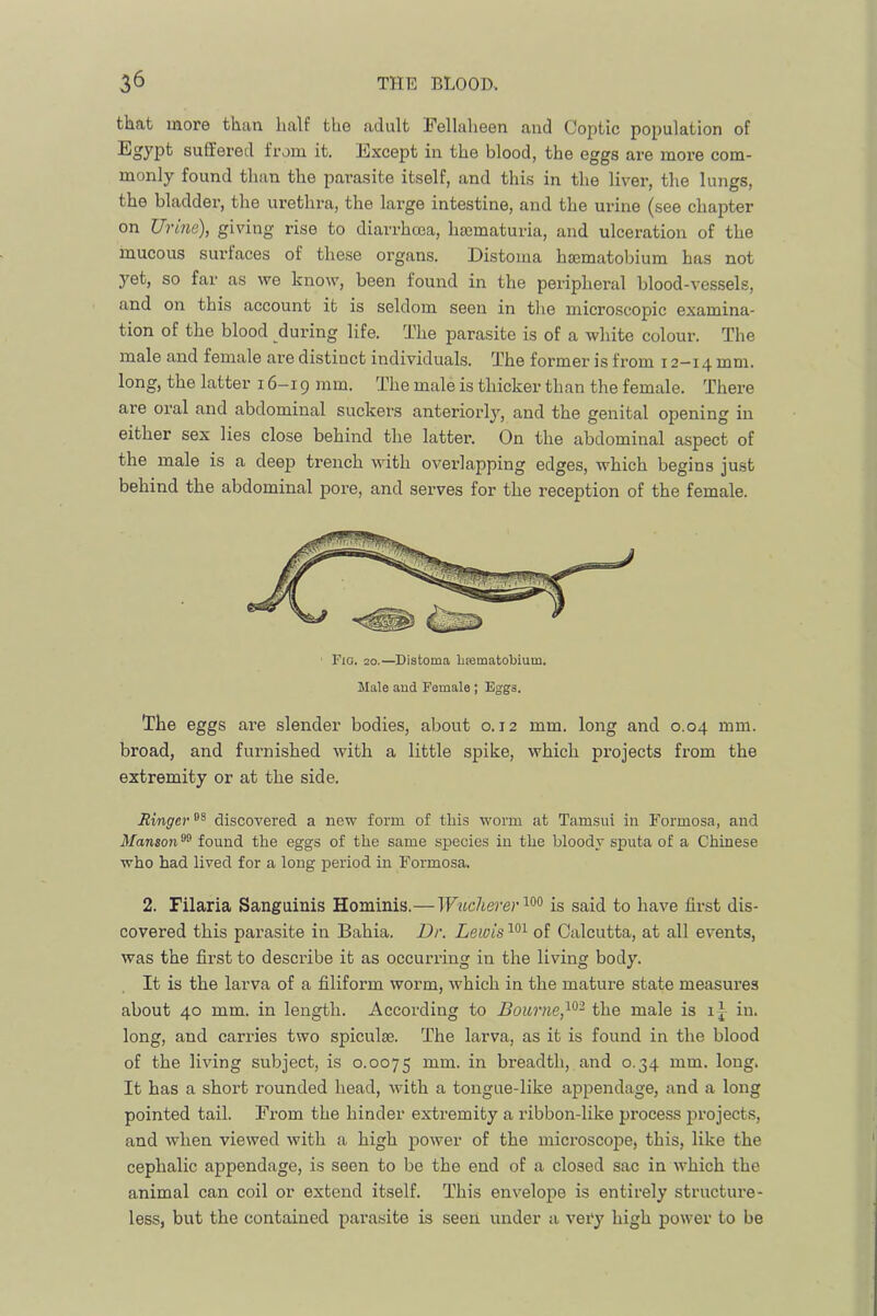 that more than half the adult Fellaheen and Coptic population of suffered from it. ISxcept in the blood, the eggs are more com- monly found than the parasite itself, and this in the liver, the lungs, the bladder, the urethra, the large intestine, and the urine (see chapter on Urine), giving rise to diarrhma, liajmaturia, and ulceration of the mucous surfaces of these organs. Distoma htematobium has not yet, so far as we know, been found in the peripheral blood-ves.sels, and on this account it is seldom seen in the microscopic examina- tion of the blood during life. The parasite is of a white coloui'. The male and female are distinct individuals. The former is from 12—14 mm. long, the latter 16—19 mm- The male is thicker than the female. There are oral and abdominal suckers anteriorly, and the genital opening in either sex lies close behind the latter. On the abdominal aspect of the male is a deep trench with overlapping edges, which begins just behind the abdominal pore, and serves for the reception of the female. Fig. 20.—Distoma liiematobium. Male aud Female ; Eggs. The eggs are slender bodies, about 0.12 mm. long and 0.04 mm. broad, and furnished with a little spike, which projects from the extremity or at the side. Ringer discovered a new form of this worm at Tamsui in Formosa, and Manson found the eggs of the same species in the bloody sputa of a Chinese who had lived for a long period in Formosa. 2. Pilaria Sanguinis Hominis.—TFwc^erer is said to have first dis- covered this parasite in Bahia. Dr. Lewis of Calcutta, at all events, was the first to describe it as occurring in the living body. It is the larva of a filiform worm, which in the mature state measures about 40 mm. in length. According to Bourne,the male is in. long, and carries two spiculse. The larva, as it is found in the blood of the living subject, is 0.0075 mm. in breadth, and 0.34 mm. long. It has a short rounded head, with a tongue-like appendage, and a long pointed tail. From the hinder extremity a ribbon-like process projects, and when viewed with a high power of the microscope, this, like the cephalic appendage, is seen to be the end of a closed sac in which the animal can coil or extend itself. This envelope is entirely structure- less, but the contained para.site is seen under a very high power to be