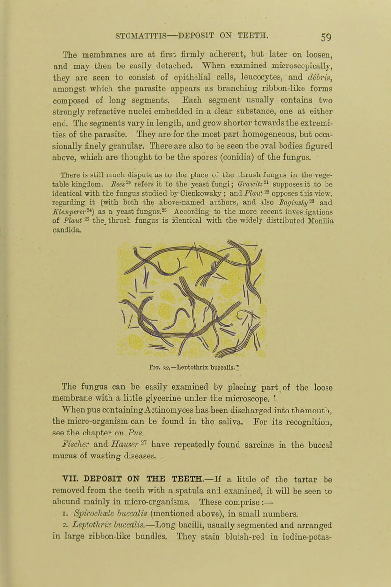 The membranes are at first firmly adherent, but later on loosen, and may then be easily detached. When examined microscopically, they are seen to consist of epithelial cells, leucocytes, and debris, amongst which the parasite appears as branching ribbon-like forms composed of long segments. Each segment usually contains two strongly refractive nuclei embedded in a clear’ substance, one at either end. The segments vary in length, and grow shorter towards the extremi- ties of the parasite. They are for the most part homogeneous, but occa- sionally finely granular. There are also to be seen the oval bodies figured above, which are thought to be the spores (conidia) of the fungus. There is still much dispute as to the place of the thrush fungus in the vege- table kingdom. refers it to the yeast fungi; Qrawitz-^ supposes it to be identical with the fungus studied by Cienkowsky ; and Plant ^ opposes this view, regarding it (with both the above-named authors, and also Paginsky^^ and Klemperer -*) as a yeast fungus.^ According to the more recent investigations of Plant ^ the_ thi'ush fungus is identical with the widely distributed Monilia Candida. The fungus can be easily examined by placing part of the loose membrane with a little glycerine under the microscope. 1 When pus containing Actinomyces has been discharged into the mouth, the micro-organism can be found in the saliva. For its recognition, see the chapter on Pus. Fischer and Hauser have repeatedly found sarcinse in the buccal mucus of wasting diseases. VII. DEPOSIT ON THE TEETH.—If a little of the tartar be removed from the teeth with a spatula and examined, it will be seen to abound mainly in micro-organisms. These comprise :— 1. Spirochsete buccalis (mentioned above), in small numbers. 2. Lepiothrix buccalis.—Long bacilli, usually segmented and arranged in large ribbon-like bundles. They stain bluish-red in iodine-potas-