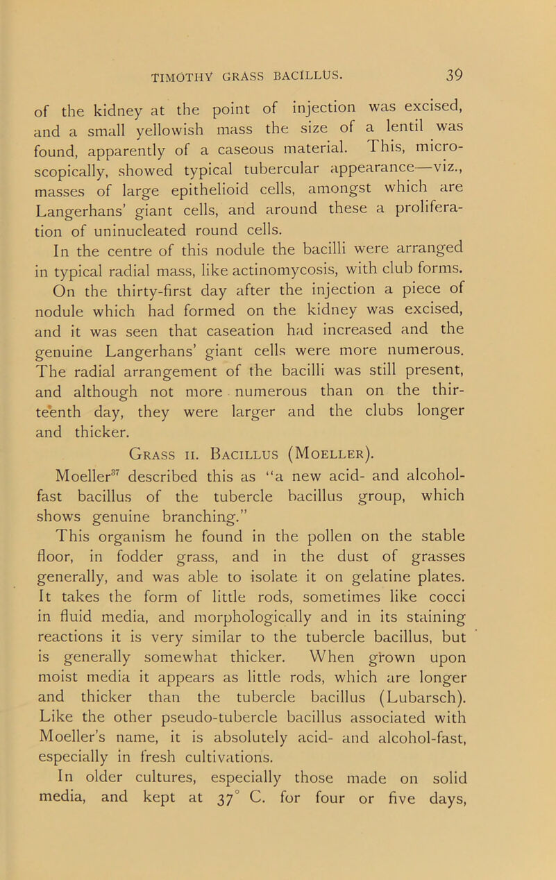 of the kidney at the point of injection was excised, and a small yellowish mass the size of a lentil was found, apparently of a caseous material. This, micro- scopically, showed typical tubercular appearance viz., masses of large epithelioid cells, amongst which are Langerhans’ giant cells, and around these a prolifera- tion of uninucleated round cells. In the centre of this nodule the bacilli were arranged in typical radial mass, like actinomycosis, with club forms. On the thirty-first day after the injection a piece of nodule which had formed on the kidney was excised, and it was seen that caseation had increased and the genuine Langerhans’ giant cells were more numerous. The radial arrangement of the bacilli was still present, and although not more numerous than on the thir- teenth day, they were larger and the clubs longer and thicker. Grass ii. Bacillus (Moeller). Moeller37 described this as “a new acid- and alcohol- fast bacillus of the tubercle bacillus group, which shows genuine branching.” This organism he found in the pollen on the stable floor, in fodder grass, and in the dust of grasses generally, and was able to isolate it on gelatine plates. It takes the form of little rods, sometimes like cocci in fluid media, and morphologically and in its staining reactions it is very similar to the tubercle bacillus, but is generally somewhat thicker. When grown upon moist media it appears as little rods, which are longer and thicker than the tubercle bacillus (Lubarsch). Like the other pseudo-tubercle bacillus associated with Moeller’s name, it is absolutely acid- and alcohol-fast, especially in fresh cultivations. In older cultures, especially those made on solid media, and kept at 370 C. for four or five days,
