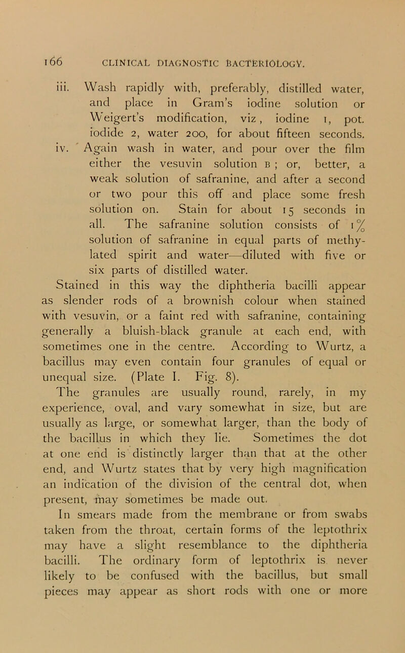 iii. Wash rapidly with, preferably, distilled water, and place in Gram’s iodine solution or Weigert’s modification, viz, iodine i, pot. iodide 2, water 200, for about fifteen seconds. iv. Again wash in water, and pour over the film either the vesuvin solution b ; or, better, a weak solution of safranine, and after a second or two pour this off and place some fresh solution on. Stain for about 15 seconds in all. The safranine solution consists of 1% solution of safranine in equal parts of methy- lated spirit and water—diluted with five or six parts of distilled water. Stained in this way the diphtheria bacilli appear as slender rods of a brownish colour when stained with vesuvin, or a faint red with safranine, containing generally a bluish-black granule at each end, with sometimes one in the centre. According to Wurtz, a bacillus may even contain four granules of equal or unequal size. (Plate I. Fig. 8). The granules are usually round, rarely, in my experience, oval, and vary somewhat in size, but are usually as large, or somewhat larger, than the body of the bacillus in which they lie. Sometimes the dot at one end is distinctly larger than that at the other end, and Wurtz states that by very high magnification an indication of the division of the central dot, when present, may sometimes be made out. In smears made from the membrane or from swabs taken from the throat, certain forms of the leptothrix may have a slight resemblance to the diphtheria bacilli. The ordinary form of leptothrix is never likely to be confused with the bacillus, but small pieces may appear as short rods with one or more