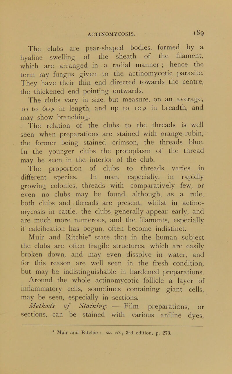 I 89 The clubs are pear-shaped bodies, formed by a hyaline swelling of the sheath of the filament, which are arranged in a radial manner ; hence the term ray fungus given to the actinomycotic parasite. They have their thin end directed towards the centre, the thickened end pointing outwards. The clubs vary in size, but measure, on an average, 10 to 60fj- in length, and up to iom in breadth, and may show branching. The relation of the clubs to the threads is well seen when preparations are stained with orange-rubin, the former being stained crimson, the threads blue. In the younger clubs the protoplasm of the thread may be seen in the interior of the club. The proportion of clubs to threads varies in different species. In man, especially, in rapidly growing colonies, threads with comparatively few, or even no clubs may be found, although, as a rule, both clubs and threads are present, whilst in actino- mycosis in cattle, the clubs generally appear early, and are much more numerous, and the filaments, especially if calcification has begun, often become indistinct. Muir and Ritchie* state that in the human subject the clubs are often fragile structures, which are easily broken down, and may even dissolve in water, and for this reason are well seen in the fresh condition, but may be indistinguishable in hardened preparations. Around the whole actinomycotic follicle a layer of inflammatory cells, sometimes containing giant cells, may be seen, especially in sections. Methods of Starnwg. — Film preparations, or sections, can be stained with various aniline dyes,