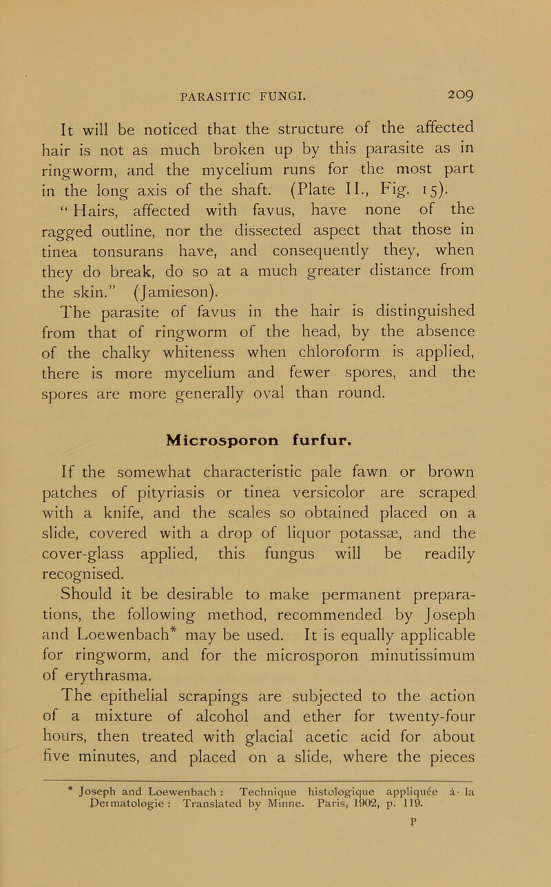 It will be noticed that the structure of the affected hair is not as much broken up by this parasite as in ringworm, and the mycelium runs for the most part in the long axis of the shaft. (Plate II., Fig. 15). “ Hairs, affected with favus, have none of the ragged outline, nor the dissected aspect that those in tinea tonsurans have, and consequently they, when they do break, do so at a much greater distance from the skin.” (Jamieson). The parasite of favus in the hair is distinguished from that of ringworm of the head, by the absence of the chalky whiteness when chloroform is applied, there is more mycelium and fewer spores, and the spores are more generally oval than round. Microsporon furfur. If the somewhat characteristic pale fawn or brown patches of pityriasis or tinea versicolor are scraped with a knife, and the scales so obtained placed on a slide, covered with a drop of liquor potassce, and the cover-glass applied, this fungus will be readily recognised. Should it be desirable to make permanent prepara- tions, the following method, recommended by Joseph and Loewenbach* may be used. It is equally applicable for ringworm, and for the microsporon minutissimum of erythrasma. The epithelial scrapings are subjected to the action of a mixture of alcohol and ether for twenty-four hours, then treated with glacial acetic acid for about five minutes, and placed on a slide, where the pieces * Joseph and Loewenbach : Technique histologique appliqu^e la Dermatologic : Translated by Minne. Paris, 1902, p. 119. P