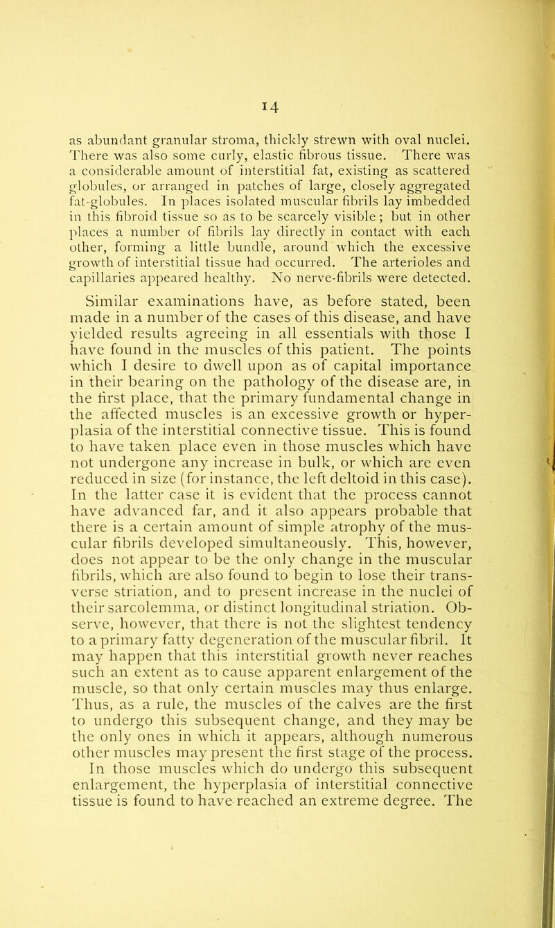as abundant granular stroma, thickly strewn with oval nuclei. There was also some curly, elastic fibrous tissue. There was a considerable amount of interstitial fat, existing as scattered globules, or arranged in patches of large, closely aggregated fat-globules. In places isolated muscular fibrils lay imbedded in this fibroid tissue so as to be scarcely visible; but in other places a number of fibrils lay directly in contact with each other, forming a little bundle, around which the excessive growth of interstitial tissue had occurred. The arterioles and capillaries appeared healthy. No nerve-fibrils were detected. Similar examinations have, as before stated, been made in a number of the cases of this disease, and have yielded results agreeing in all essentials with those I have found in the muscles of this patient. The points which I desire to dwell upon as of capital importance in their bearing on the pathology of the disease are, in the first place, that the primary fundamental change in the affected muscles is an excessive growth or hyper- plasia of the interstitial connective tissue. This is found to have taken place even in those muscles which have not undergone any increase in bulk, or which are even reduced in size (for instance, the left deltoid in this case). In the latter case it is evident that the process cannot have advanced far, and it also appears probable that there is a certain amount of simple atrophy of the mus- cular fibrils developed simultaneously. This, however, does not appear to be the only change in the muscular fibrils, which are also found to begin to lose their trans- verse striation, and to present increase in the nuclei of their sarcolemma, or distinct longitudinal striation. Ob- serve, however, that there is not the slightest tendency to a primary fatty degeneration of the muscular fibril. It may happen that this interstitial growth never reaches such an extent as to cause apparent enlargement of the muscle, so that only certain muscles may thus enlarge. Thus, as a rule, the muscles of the calves are the first to undergo this subsequent change, and they may be the only ones in which it appears, although numerous other muscles may present the first stage of the process. In those muscles which do undergo this subsequent enlargement, the hyperplasia of interstitial connective tissue is found to have reached an extreme degree. The