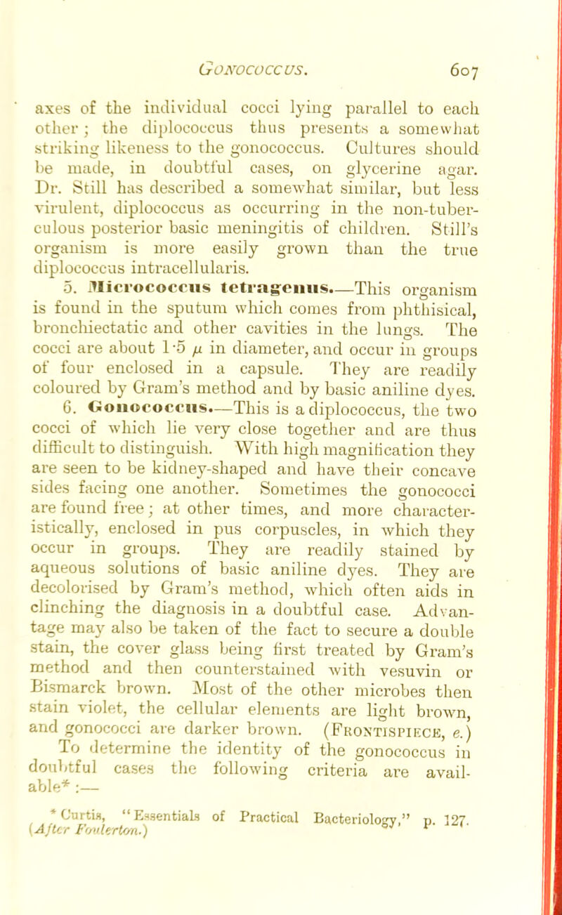 axes of the individual cocci lying parallel to each other; the diplococcus thus presents a somewhat striking likeness to the gonococcus. Cultures should he made, in doubtful cases, on glycerine agar. Dr. Still has described a somewhat similar, but less virulent, diplococcus as occurring in the non-tuber- culous posterior basic meningitis of children. Still's organism is more easily grown than the true diplococcus intracellularis. 5. Micrococcus tetragemis.—This organism is found in the sputum which comes from phthisical, bronchiectatic and other cavities in the lungs. The cocci are about 1-5 fx in diameter, and occur in groups of four enclosed in a capsule. They are readily coloured by Gram's method and by basic aniline dyes. 6. Gonococcus.—This is a diplococcus, the two cocci of which lie very close together and are thus difficult to distinguish. With high magnification they are seen to be kidney-shaped and have their concave sides facing one another. Sometimes the gonococci are found free; at other times, and more character- istically, enclosed in pus corpuscles, in which they occur in groups. They are readily stained by aqueous solutions of basic aniline dyes. They are decolorised by Gram's method, which often aids in clinching the diagnosis in a doubtful case. Advan- tage may also be taken of the fact to secure a double stain, the cover glass being first treated by Gram's method and then counterstained with vesuvin or Eismarck brown. Most of the other microbes then stain violet, the cellular elements are light brown, and gonococci are darker brown. (Frontispiece, e.) To determine the identity of the gonococcus in doubtful cases the following criteria are avail- able* :— *Curtia, Essentials of Practical Bacteriology n 127 [After FmderUm.) ^ 1