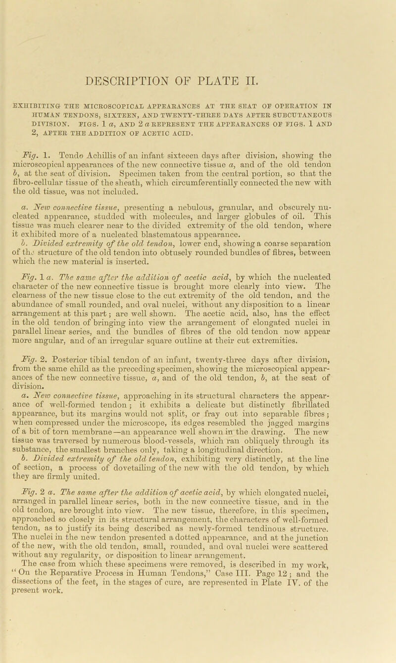 EXHIBITING THE MICROSCOPICAL APPEARANCES AT THE SEAT OF OPERATION IN HUMAN TENDONS, SIXTEEN, AND TWENTY-THREE DAYS AFTER SUBCUTANEOUS DIVISION. FIGS. 1 a, AND 2 a REPRESENT THE APPEARANCES OF FIGS. 1 AND 2, AFTER THE ADDITION OF ACETIC ACID. Fig. 1. Tcndo Acliillis of an infant sixteeen days after division, showing the microscopical appearances of the new connective tissue a, and of the old tendon b, at the seat of division. Specimen taken from the central portion, so that the fibro-cellular tissue of the sheath, which circumferentially connected the new with the old tissue, was not included. a. New connective tissue, presenting a nebulous, granular, and obscurely nu- cleated appearance, studded with molecules, and larger globules of oil. This tissue was much clearer near to the divided extremity of the old tendon, where it exhibited more of a nucleated blastematous appearance. h. Divided extremity of the old tendon, lower end, showing a coarse separation of the structure of the old tendon into obtusely rounded bundles of fibres, between which the new material is inserted. Fig. 1 a. The same after the addition of acetic acid, by which the nucleated character of the new connective tissue is brought more clearly into view. The clearness of the new tissue close to the cut extremity of the old tendon, and the abundance of small rounded, and oval nuclei, without any disposition to a linear arrangement at this part; are well shown. The acetic acid, also, has the effect in the old tendon of bi’inging into view the arrangement of elougated nuclei in parallel linear series, and the bundles of fibres of the old tendon now appear more angular, and of an irregular square outline at their cut extremities. Fig. 2. Posterior tibial tendon of an infant, twenty-three days after division, from the same child as the preceding specimen, showing the microscopical appear- ances of the new connective tissue, a, and of the old tendon, b, at the seat of division. a. New connective tissue, approaching in its structural characters the appear- ance of well-formed tendon ; it exhibits a delicate but distinctly fibrillated appearance, but its margins would not split, or fray out into separable fibres; when compressed under the microscope, its edges resembled the jagged margins of a bit of torn membrane —an appearance well shown in the drawing. The new tissue was traversed by numerous blood-vessels, which ran obliquely through its substance, the smallest branches only, taking a longitudinal direction. b. Divided extremity of the old tendon, exhibiting very distinctly, at the line of section, a process of dovetailing of the new with the old tendon, by which they are firmly united. Fig. 2 a. The same after the addition of acetic acid, by which elongated nuclei, arranged in parallel linear series, both in the new connective tissue, and in the old tendon, are brought into view. The new tissue, therefore, in this specimen, approached so closely in its structural arrangement, the characters of well-formed tendon, as to justify its being described as newly-formed tendinous structure. The nuclei in the new tendon presented a dotted appearance, and at the junction of the new, with the old tendon, small, rounded, and oval nuclei were scattered without any regularity, or disposition to linear arrangement. The case from which these specimens were removed, is described in my work, “ On the Reparative Process in Human Tendons,” Case III. Page 12 ; and the dissections of the feet, in the stages of cure, are represented in Plate IV. of the present work.