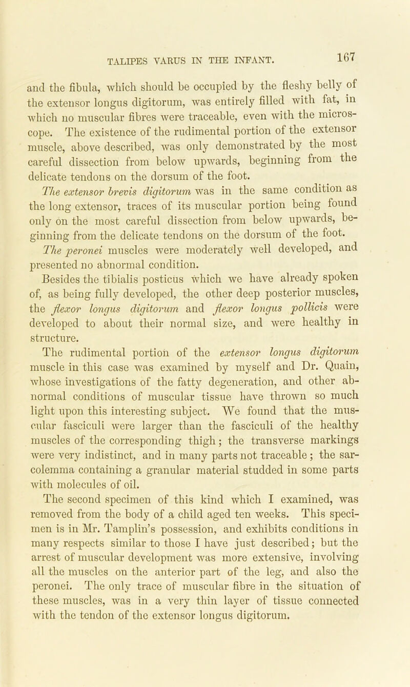 and the fibula, which should be occupied by the fleshy belly of the extensor longus digitorum, was entirely filled with fat, in which no muscular fibres were traceable, even with the mici os- cope. The existence of the rudimental portion of the extensoi muscle, above described, was only demonstrated by the most careful dissection from below upwards, beginning from the delicate tendons on the dorsum of the foot. The extensor brevis digitorum was in the same condition as the long extensor, traces of its muscular portion being found only on the most careful dissection from below upwards, be- ginning from the delicate tendons on the dorsum of the foot. The peronei muscles were moderately well developed, and presented no abnormal condition. Besides the tibialis posticus which we have already spoken of, as being fully developed, the other deep posterior muscles, the flexor longus digitorum and flexor longus pollicis were developed to about their normal size, and were healthy in structure. The rudimental portion of the extensor longus digitorum muscle in this case was examined by myself and Dr. Quain, whose investigations of the fatty degeneration, and other ab- normal conditions of muscular tissue have thrown so much light upon this interesting subject. We found that the mus- cular fasciculi were larger than the fasciculi of the healthy muscles of the corresponding thigh; the transverse markings were very indistinct, and in many parts not traceable; the sar- colemma containing a granular material studded in some parts with molecules of oil. The second specimen of this kind which I examined, was removed from the body of a child aged ten weeks. This speci- men is in Mr. Tamplin’s possession, and exhibits conditions in many respects similar to those I have just described; but the arrest of muscular development was more extensive, involving all the muscles on the anterior part of the leg, and also the peronei. The only trace of muscular fibre in the situation of these muscles, was in a very thin layer of tissue connected with the tendon of the extensor longus digitorum.