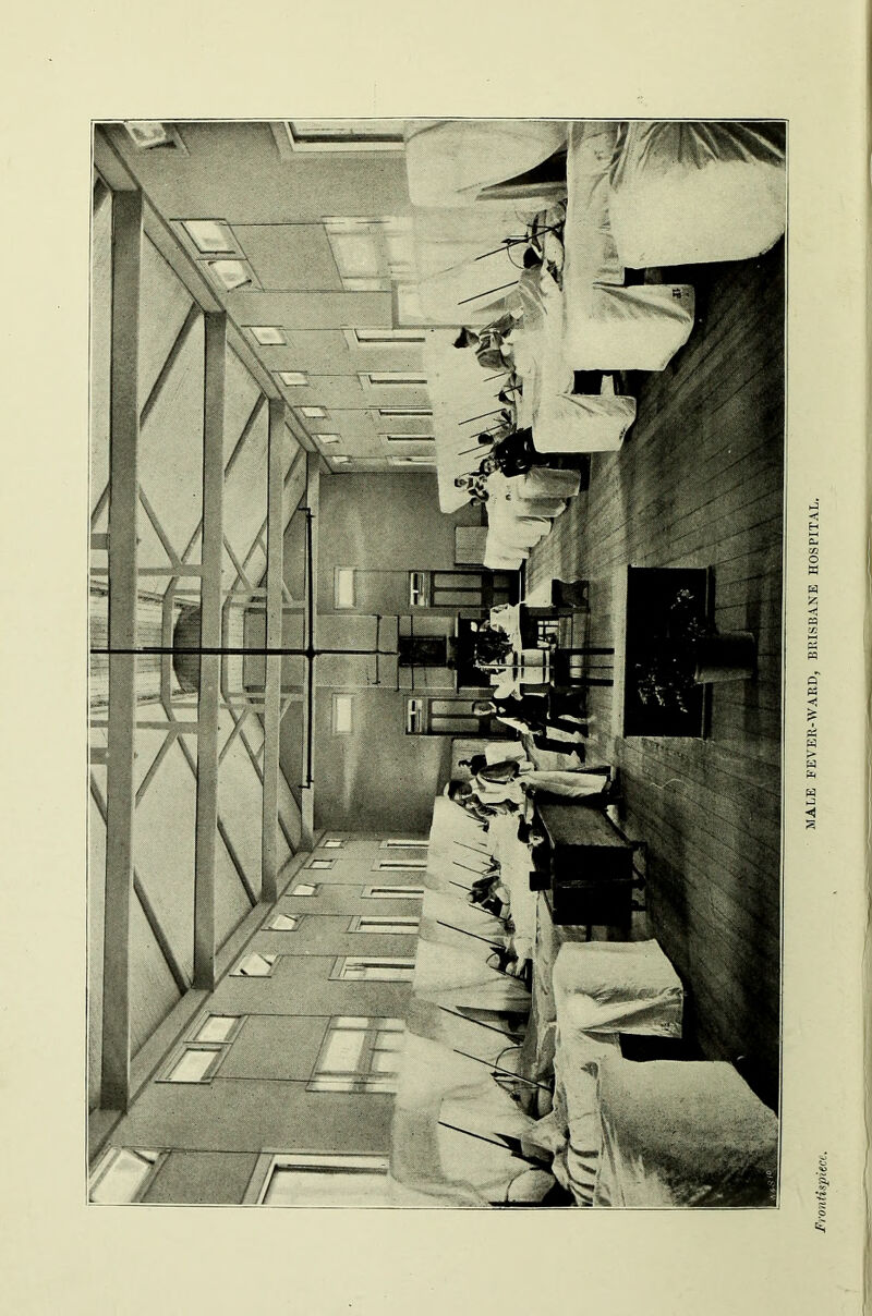 1 tm MALE FEVER-WARD, BRISBANE HOSPITAL.