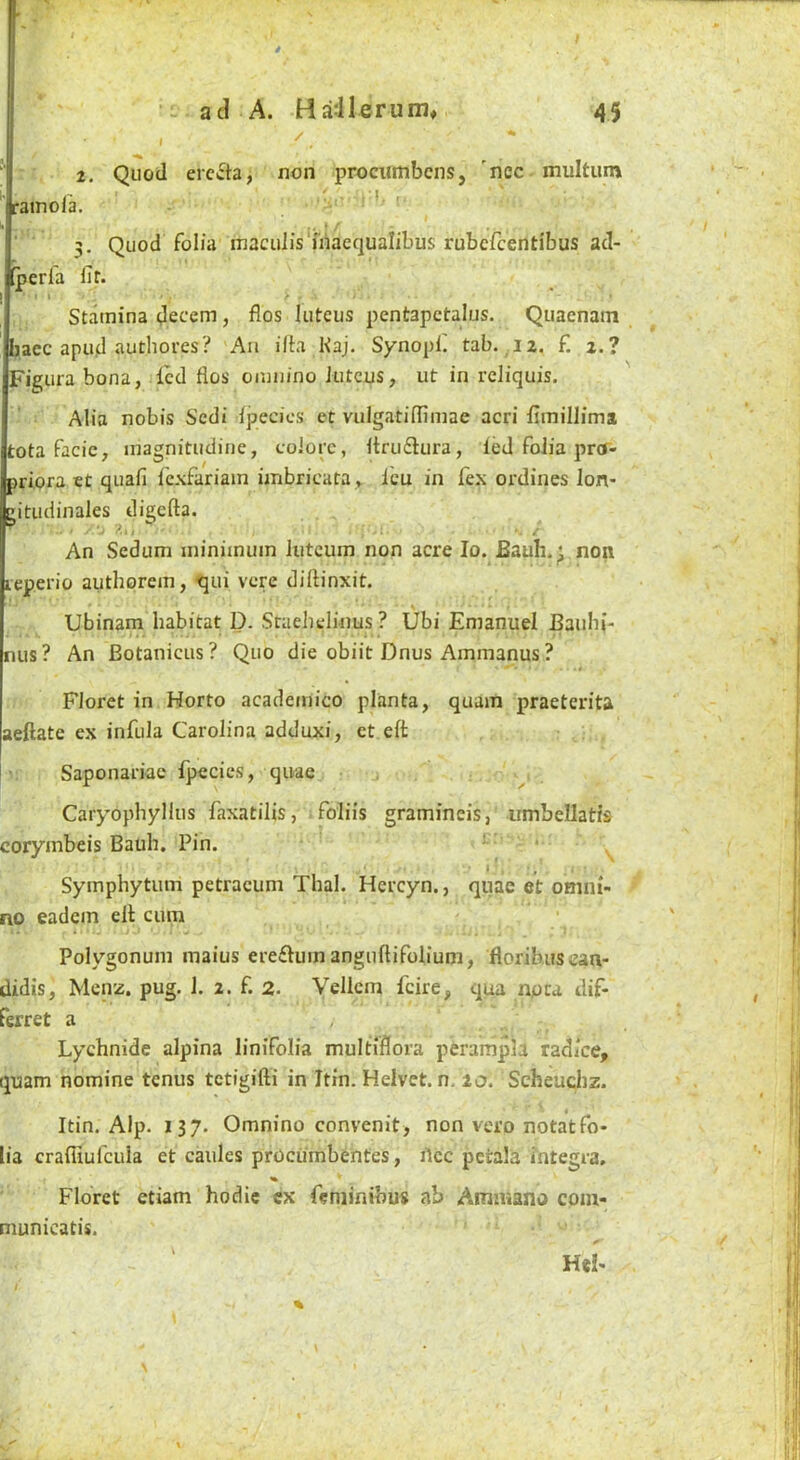 2, Quod erctSta, non prociimbcns, 'nec multum ' rainofa. ' 3. Quod folia maculis fiiaequalibus rubcfcentibus ad- perfa fir. I ■ Stamina decern, flos luteus pentapctalus. Quaenam bacc apud autliores? An ifia Kaj. Synopli tab. 12. £ 2.? Figura bona, led flos omiiino Jutens, ut in reliquis. Alia nobis Sedi Ipecics et vulgatiffimae acri fimillima tota facie, magnitudine, coiorc, ftruflura, led folia pro- nriora et quafi fcxfariain imbricata , leu in fex ordines lon- g,itudinales digefta. An Sedum minimum lutcum non acre lo. Bauh.^ non leperio authorem, 'qui vere diflinxit. Ubinam habitat D. Sraehelinus ? Ubi Emanuel Bauhi- nus? An Botanicus? Quo die obiit Dnus Ammanus ? '« Floret in Horto academico planta, quam praeterita aeftate ex infula Carolina adduxi, ct eft Saponariac fpccies, quae Caryophyllus faxatilis, foliis gramineis, iimbellatis corymbeis Bauh. Pin. ' * I. •, Symphytum petracum Thai. Hercyn., quae et omni- no eadein eft cum • J Polygonum maius erefluin anguftifolium, florihus eaa- didis, Menz. pug. 1. 2. f. 2. Velicm feire, qua npea dif- ferret a Lychnide alpina linifolia mulfiflora perampU radice, quam nomine tenus tetigifti in Itin. Helvet. n. 20. Scheuchz. ■ \ Itin. Alp. 137. Omnino convenit, non vero notatfo- lia crafliufcula et caules prOcumbentes, hcc petala Integra, Floret etiam hodic ex feminibus ab Aimuano com- municatis. Hel-