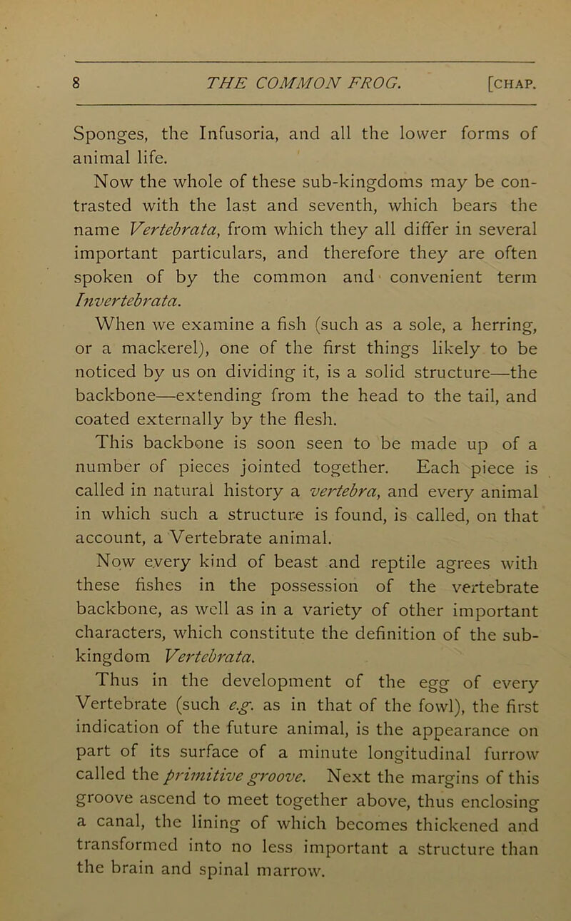 Sponges, the Infusoria, and all the lower forms of animal life. Now the whole of these sub-kingdoms may be con- trasted with the last and seventh, which bears the name Vertebrata, from which they all differ in several important particulars, and therefore they are often spoken of by the common and convenient term Invertebrata. When we examine a fish (such as a sole, a herring, or a mackerel), one of the first things likely to be noticed by us on dividing it, is a solid structure—the backbone—extending from the head to the tail, and coated externally by the flesh. This backbone is soon seen to be made up of a number of pieces jointed together. Each piece is called in natural history a vertebra, and every animal in which such a structure is found, is called, on that account, a Vertebrate animal. Now every kind of beast and reptile agrees with these fishes in the possession of the vertebrate backbone, as well as in a variety of other important characters, which constitute the definition of the sub- kingdom Vertebrata. Thus in the development of the egg of every Vertebrate (such e.g. as in that of the fowl), the first indication of the future animal, is the appearance on part of its surface of a minute longitudinal furrow called the primitive groove. Next the margins of this groove ascend to meet together above, thus enclosing a canal, the lining of which becomes thickened and transformed into no less important a structure than the brain and spinal marrow.