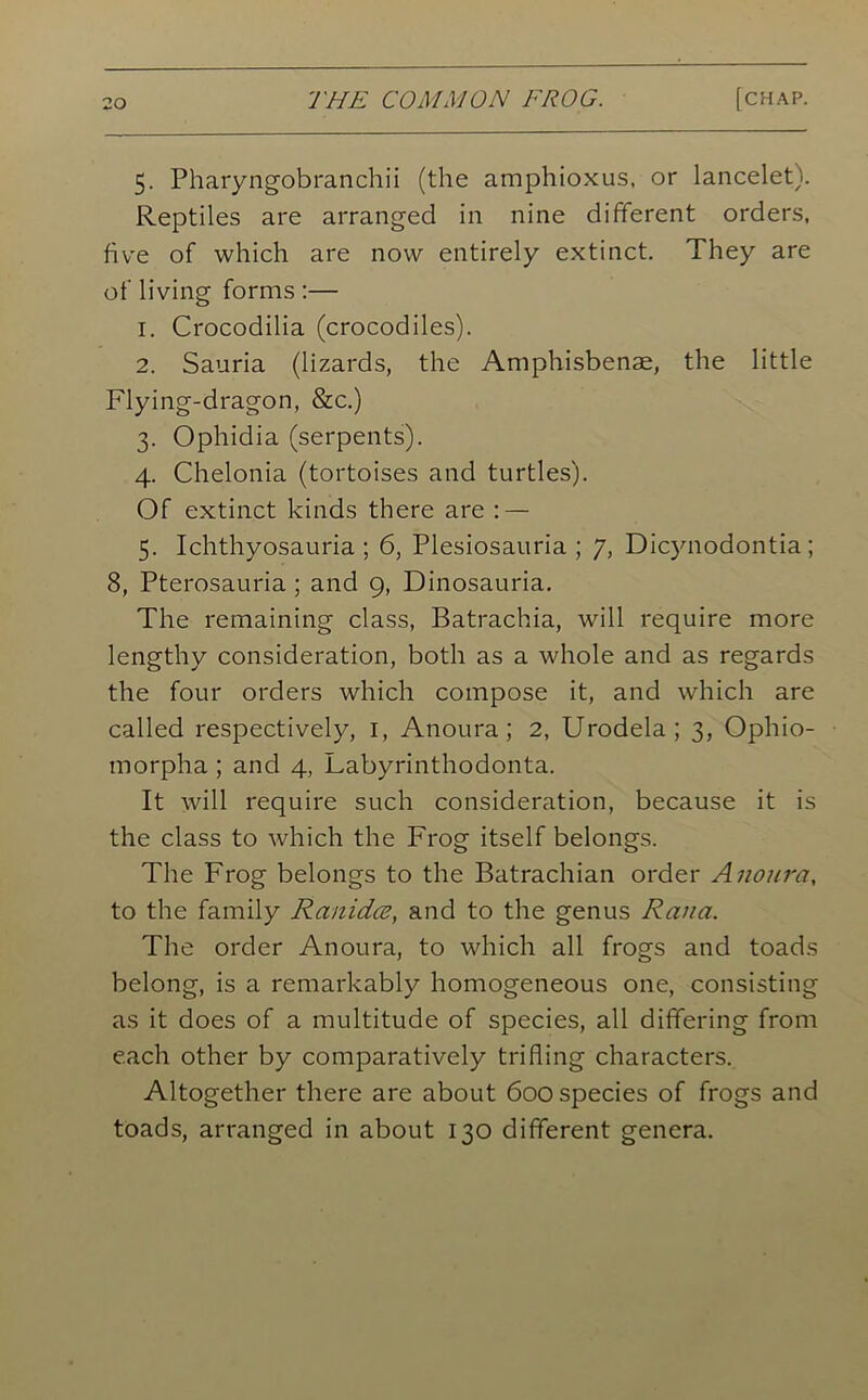 5. Pharyngobranchii (the amphioxus, or lancelet). Reptiles are arranged in nine different orders, five of which are now entirely extinct. They are of living forms :— 1. Crocodilia (crocodiles). 2. Sauria (lizards, the Amphisbenae, the little Flying-dragon, &c.) 3. Ophidia (serpents). 4. Chelonia (tortoises and turtles). Of extinct kinds there are : — 5. Ichthyosauria ; 6, Plesiosauria ; 7, Dicynodontia ; 8, Pterosauria ; and 9, Dinosauria. The remaining class, Batrachia, will require more lengthy consideration, both as a whole and as regards the four orders which compose it, and which are called respectively, I, Anoura; 2, Urodela; 3, Ophio- morpha ; and 4, Labyrinthodonta. It will require such consideration, because it is the class to which the Frog itself belongs. The Frog belongs to the Batrachian order Anoura, to the family Ranidce, and to the genus Rana. The order Anoura, to which all frogs and toads belong, is a remarkably homogeneous one, consisting as it does of a multitude of species, all differing from each other by comparatively trifling characters. Altogether there are about 600 species of frogs and toads, arranged in about 130 different genera.