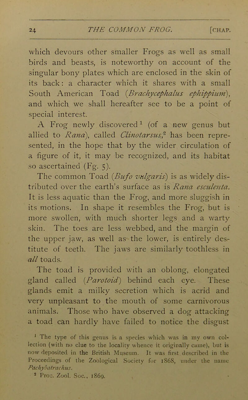 which devours other smaller Frogs as well as small birds and beasts, is noteworthy on account of the singular bony plates which are enclosed in the skin of its back: a character which it shares with a small South American Toad (Brachycephalus ephippium), and which we shall hereafter see to be a point of special interest. A Frog newly discovered 1 (of a new genus but allied to Rand), called Ciinotarsusp has been repre- sented, in the hope that by the wider circulation of a figure of it, it may be recognized, and its habitat so ascertained (Fg. 5). The common Toad (Bnfo vulgaris) is as widely dis- tributed over the earth’s surface as is Rana esculeuta. It is less aquatic than the Frog, and more sluggish in its motions. In shape it resembles the Frog, but is more swollen, with much shorter legs and a warty skin. The toes are less webbed, and the margin of the upper jaw, as well as- the lower, is entirely des- titute of teeth. The jaws are similarly toothless in all toads. The toad is provided with an oblong, elongated gland called (Parotoid) behind each eye. These glands emit a milky secretion which is acrid and very unpleasant to the mouth of some carnivorous animals. Those who have observed a dog attacking a toad can hardly have failed to notice the disgust 1 The type of this genus is a species which was in my own col- lection (with no clue to the locality whence it originally came), but is now deposited in the British Museum. It was first described in the Proceedings of the Zoological Society for 1S68, under the name Pachybatrach us. 2 Proc. Zool, Soc., 1869.