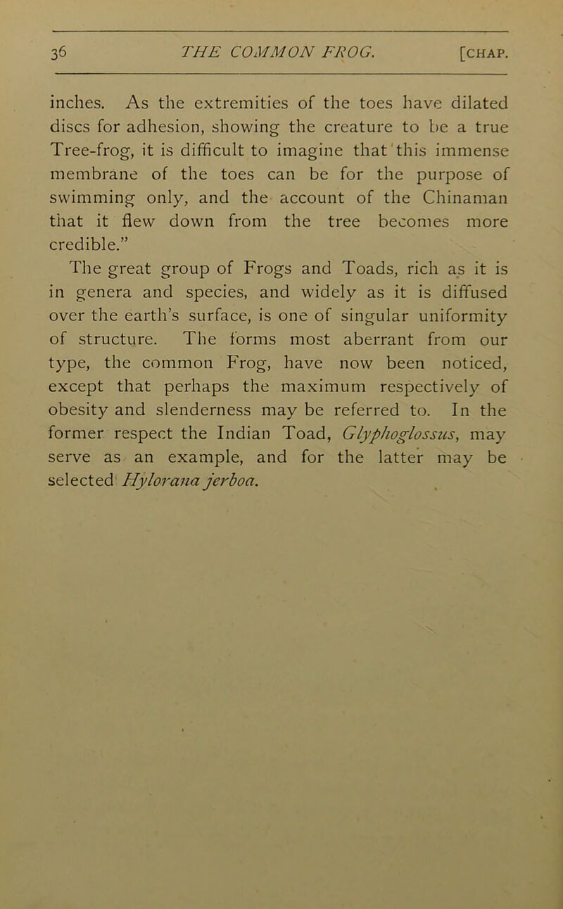 inches. As the extremities of the toes have dilated discs for adhesion, showing the creature to be a true Tree-frog, it is difficult to imagine that this immense membrane of the toes can be for the purpose of swimming only, and the account of the Chinaman that it flew down from the tree becomes more credible.” The great group of Frogs and Toads, rich as it is in genera and species, and widely as it is diffused over the earth’s surface, is one of singular uniformity of structure. The forms most aberrant from our type, the common Frog, have now been noticed, except that perhaps the maximum respectively of obesity and slenderness may be referred to. In the former respect the Indian Toad, Glyphoglossus, may serve as an example, and for the latter may be selected Hy lorana jerboa.