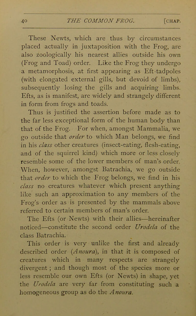 These Newts, which are thus by circumstances placed actually in juxtaposition with the Frog, are also zoologically his nearest allies outside his own (Frog and Toad) order. Like the Frog they undergo a metamorphosis, at first appearing as Eft-tadpoles (with elongated external gills, but devoid of limbs), subsequently losing the gills and acquiring limbs. Efts, as is manifest, are widely and strangely different in form from frogs and toads. Thus is justified the assertion before made as to the far less exceptional form of the human body than that of the Frog. For when, amongst Mammalia, we go outside that order to which Man belongs, we find in his class other creatures (insect-eating, flesh-eating, and of the squirrel kind) which more or less closely resemble some of the lower members of man’s order. When, however, amongst Batrachia, we go outside that order to which the Frog belongs, we find in his class no creatures whatever which present anything like such an approximation to any members of the Frog’s order as is presented by the mammals above referred to certain members of man’s order. The Efts (or Newts) with their allies—hereinafter noticed—constitute the second order Urodela of the class Batrachia. This order is very unlike the first and already described order (Anoura), in that it is composed of creatures which in many respects are strangely divergent ; and though most of the species more or less resemble our own Efts (or Newts) in shape, yet the Urodela are very far from constituting such a homogeneous group as do the Anoura.