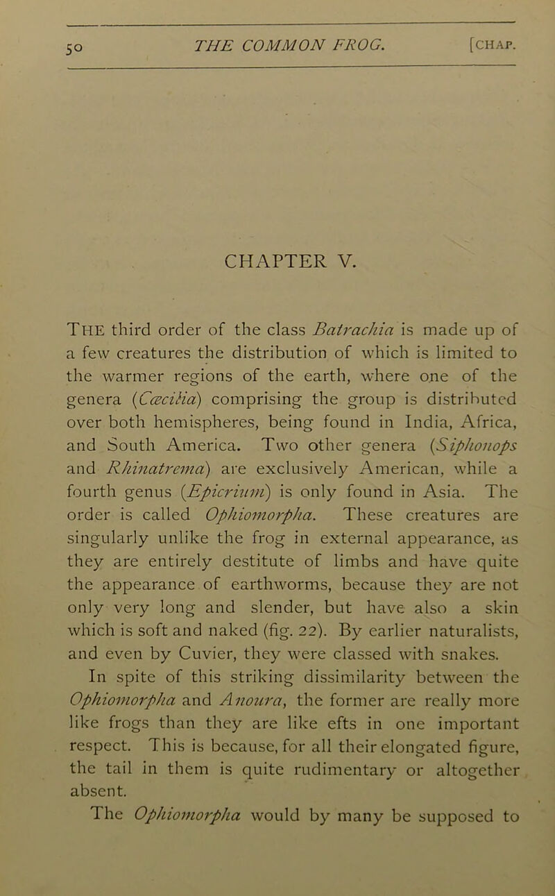 5° CHAPTER V. The third order of the class Batrachia is made up of a few creatures the distribution of which is limited to the warmer regions of the earth, where one of the genera (Ccecilici) comprising the group is distributed over both hemispheres, being found in India, Africa, and South America. Two other genera (Siphonops and Rhinatrema) are exclusively American, while a fourth genus (Epicrium) is only found in Asia. The order is called Ophiomorpha. These creatures are singularly unlike the frog in external appearance, as they are entirely destitute of limbs and have quite the appearance of earthworms, because they are not only very long and slender, but have also a skin which is soft and naked (fig. 22). By earlier naturalists, and even by Cuvier, they were classed with snakes. In spite of this striking dissimilarity between the Ophiomorpha and Anoura, the former are really more like frogs than they are like efts in one important respect. This is because, for all their elongated figure, the tail in them is quite rudimentary or altogether absent. The Ophiomorpha would by many be supposed to