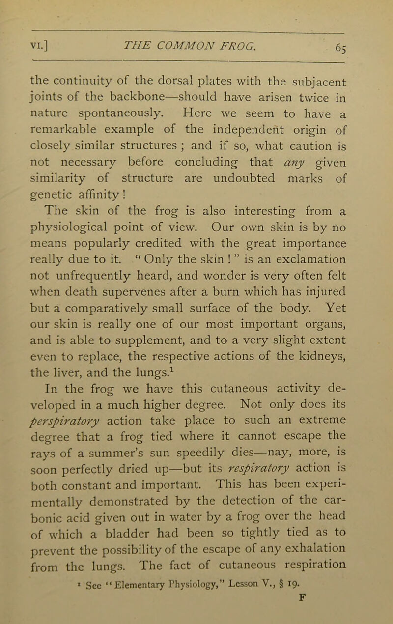 the continuity of the dorsal plates with the subjacent joints of the backbone—should have arisen twice in nature spontaneously. Here we seem to have a remarkable example of the independent origin of closely similar structures ; and if so, what caution is not necessary before concluding that any given similarity of structure are undoubted marks of genetic affinity! The skin of the frog is also interesting from a physiological point of view. Our own skin is by no means popularly credited with the great importance really due to it. “ Only the skin ! ” is an exclamation not unfrequently heard, and wonder is very often felt when death supervenes after a burn which has injured but a comparatively small surface of the body. Yet our skin is really one of our most important organs, and is able to supplement, and to a very slight extent even to replace, the respective actions of the kidneys, the liver, and the lungs.1 In the frog we have this cutaneous activity de- veloped in a much higher degree. Not only does its perspiratory action take place to such an extreme degree that a frog tied where it cannot escape the rays of a summer’s sun speedily dies—nay, more, is soon perfectly dried up—but its respiratory action is both constant and important. This has been experi- mentally demonstrated by the detection of the car- bonic acid given out in water by a frog over the head of which a bladder had been so tightly tied as to prevent the possibility of the escape of any exhalation from the lungs. The fact of cutaneous respiration « See “Elementary Physiology,” Lesson V., § 19. F