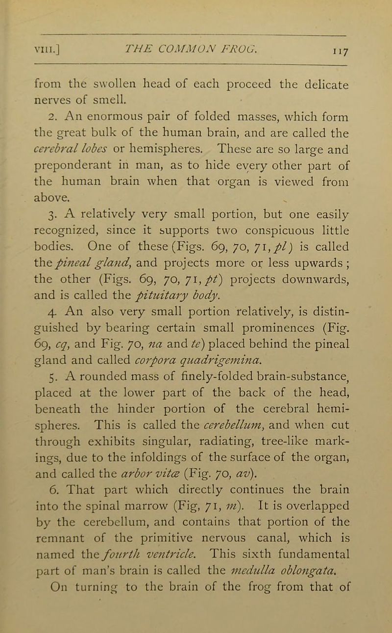 from the swollen head of each proceed the delicate nerves of smell. 2. An enormous pair of folded masses, which form the great bulk of the human brain, and are called the cerebral lobes or hemispheres. These are so large and preponderant in man, as to hide every other part of the human brain when that organ is viewed from above. 3. A relatively very small portion, but one easily recognized, since it supports two conspicuous little bodies. One of these (Figs. 69, 70, 71, pi) is called the pineal gland,, and projects more or less upwards ; the other (Figs. 69, 70, 71, pt) projects downwards, and is called the pituitary body. 4. An also very small portion relatively, is distin- guished by bearing certain small prominences (Fig. 69, cq, and Fig. 70, 11a and te) placed behind the pineal gland and called corpora quadrigemina. 5. A rounded mass of finely-folded brain-substance, placed at the lower part of the back of the head, beneath the hinder portion of the cerebral hemi- spheres. This is called the cerebellum, and when cut through exhibits singular, radiating, tree-like mark- ings, due to the infoldings of the surface of the organ, and called the arbor vitee (Fig. 70, av). 6. That part which directly continues the brain into the spinal marrow (Fig, 71, m). It is overlapped by the cerebellum, and contains that portion of the remnant of the primitive nervous canal, which is named the fourth ventricle. This sixth fundamental part of man’s brain is called the medulla oblongata. On turning to the brain of the frog from that of