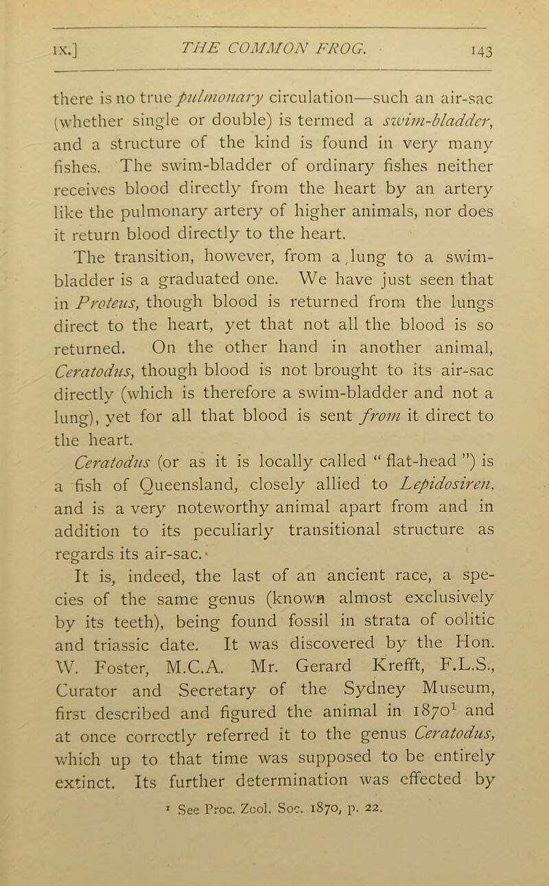 there is no true pulmonary circulation—such an air-sac (whether single or double) is termed a szvim-bladder, and a structure of the kind is found in very many fishes. The swim-bladder of ordinary fishes neither receives blood directly from the heart by an artery like the pulmonary artery of higher animals, nor does it return blood directly to the heart. The transition, however, from a,lung to a swim- bladder is a graduated one. We have just seen that in Proteus, though blood is returned from the lungs direct to the heart, yet that not all the blood is so returned. On the other hand in another animal, Ceratodus, though blood is not brought to its air-sac directly (which is therefore a swim-bladder and not a lung), yet for all that blood is sent from it direct to the heart. Ceratodus (or as it is locally called “ flat-head ”) is a fish of Queensland, closely allied to Lepidosiren. and is a very noteworthy animal apart from and in addition to its peculiarly transitional structure as regards its air-sac.* It is, indeed, the last of an ancient race, a spe- cies of the same genus (known almost exclusively by its teeth), being found fossil in strata of oolitic and triassic date. It was discovered by the Hon. W. Foster, M.C.A. Mr. Gerard Krefft, F.L.S., Curator and Secretary of the Sydney Museum, first described and figured the animal in 187c)1 and at once correctly referred it to the genus Ceratodus, which up to that time was supposed to be entirely extinct. Its further determination was effected by 1 See Troc. Zcol. Soc. 1870, p. 22.