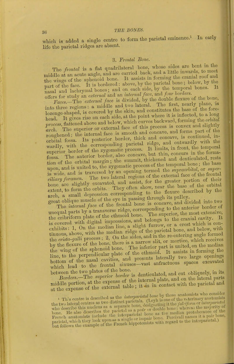 wliich is added a single centre to form the parietal eminence^ In early life the parietal ridges are absent. 3. Frontal Bone. The frontal is a flat quadrilateral bone, whose sides are bent in the middle at an aeute angle, and are earried back, and a little inwards, to mee So Ws of the sphenoid bone. It assists in forming the cramal roof and Dart of the face. It is bordered: above, by the parietal bone ; below, by the Tasal and lachrymal bones; and on each side, by the temporal bones. It ottbrs for study an external and an internal face, and four horders. Faces -The external face is divided, by the donble flexure of the bone into thxS regions: a middle and two lateral. The first, nearly p ane, is °„u»Wa 7e ntern.l face is smooth and conc.,e, a.d form, par of fte f^f orbital margin: the summit, thickened and denticulated, rest, bone ■'4 slightly Sa/ S basroTL ovWtal IS covered witn ciigiiai mipio&oiu , f„„Z.^ a crest which is con- exhibits: 1, On the ^ ^,«;.f,gt?f \h^^^^^^^^ bon^.'and below, .dth tmuous, above, with the ^^'^'^^^^^f^^^ and ii the re-entering angle formed the crista-galli process ; 2, Un tne siaes, ^^^^'^ niortice which receives by the floLe of the bone, there ^^^, 0' the median the wing of the sphenoid bone ^ u™'^ J ^ „,sisis in forming the iT,-' S\KS :tiCa.l F0se't3 laterally two large opening wSlld toTe Sarsinnses^vast anfractnons spaces excavated rro?lro,Te°o= TtrS^contU with tho pariofU and ,l,el„„ lateral cc„lr». .» two ■'''Xto^lS^t > S^^^^^^ /«'™:'~  ■•»':'■''*' £r;ii; «g.i