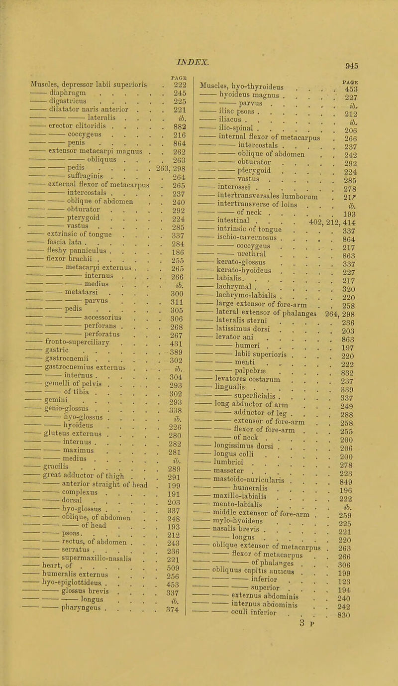 945 Muscles, depressor Inbii superioris diaphragm , . . . . digastricus . . . . , dilatator naris anterior . lateralis . erector clitoridis coccygeus penis extensor metacarpi magnus ■ obliquus . pedis suiFraginis external flexor of metacarpus intercostals .... oblique of abdomen obturator .... pterygoid .... vastus .... ■ extrinsic of tongue • fascia lata fleshy panniculus . flexor brachii .... metacarpi externus . internus . medius metatarsi parvus pedis • accessorius • perforans . • perforatus fron to-supercilia ry gastric .... gastrocnemii . gastrocnemius externus internus . - gemelli of pelvis ■ of tibia . ■ gemini • genio-glossus . hyo-glossus ■ hyoidevis gluteus externus internus . maximus ■ medius . ■ gracilis great adductor of thigh . anterior straight of head complexus .... dorsal hyo-glossus .... oblique, of abdomen of head psoas rectus, of abdomen . serratus supermaxillo-nasalis heart, of . ■ humeralis externus • hyo-epiglottideus . glossus brevis longus pharyngeus . TAOB . 222 . 245 . 225 . 221 ib. . 882 . 216 . 864 . 262 . 263 263, 298 . 264 . 265 . 237 . 240 . 292 . 224 . 285 . 337 . 284 . 186 . 255 . 265 . 266 ib. 300 . 311 . 305 . 306 . 268 . 267 . 431 . 389 . 302 ib. . 304 . 293 . 302 . 293 . 338 ib. . 226 . 280 . 282 . 281 ib. . 289 291 199 191 203 337 248 193 212 243 236 221 509 256 453 337 ib. 374 Muscles, hyo-thyroideus .... ^453 hyoideus magnus . . . ' 227 — parvus ; iliac psoas 212 iliacus ^ ilio-spinal 206 internal flexor of metacarpus . 266 intercostals 237 oblique of abdomen , . 242 obturator 292 pterygoid 224 ] vastus 285 interossei 278 inter'transversales lumborum . 21.'' intertransverse of loins ... ib. of neck J93 intestinal .... 402, 212, 414 intrinsic of tongue .... 337 ischio-cavernosus §64 coccygeus 217 uretliral . . . ! ! 863 kerato-glossus 337 kerato-hyoideus .... 227 labialis 217 lachrymal 320 lachrymo-labialis . . . . . 220 large extensor of fore-arm . . 258 lateral extensor of phalanges 264, 298 lateralis sterni 236 latissimus dorsi 203 levator ani ggg humeri J97 labii superioris .... 220 menti ..... 222 palpebrffi 332 levatores costarum .... 237 lingualis ] ' 339 superficialis 337 long abductor of arm . ', \ 249 adductor of leg . . . . 288 extensor of fore-arm . . 258 flexor of fore-arm . . . 255 of neck 200 longissimus dorsi . . . . ] 206 longus colli 200 lumbrici ]  278 masseter ' 223 mastoido-auricularis .... 849 humeralis jgg maxillo-labialis . . . . ' 22'' mento-labialis . . . . ' middle extensor of fore-nrm . .' 259 mylo-hyoideus . . . . ' 225 nasalis brevis .... ' 2'>l ——longus 220 oblique extensor of metacarpus . 263 flexor of metacarpus . ] 266 ~. of phalanges . . . c^qq obliquus capitis amicus . . . 199 inferior . . . . j23 ' superior .... 194 externus .ibdominis . . 240 interims abdominis . [ 242 oculi inferior , .  3 p ■