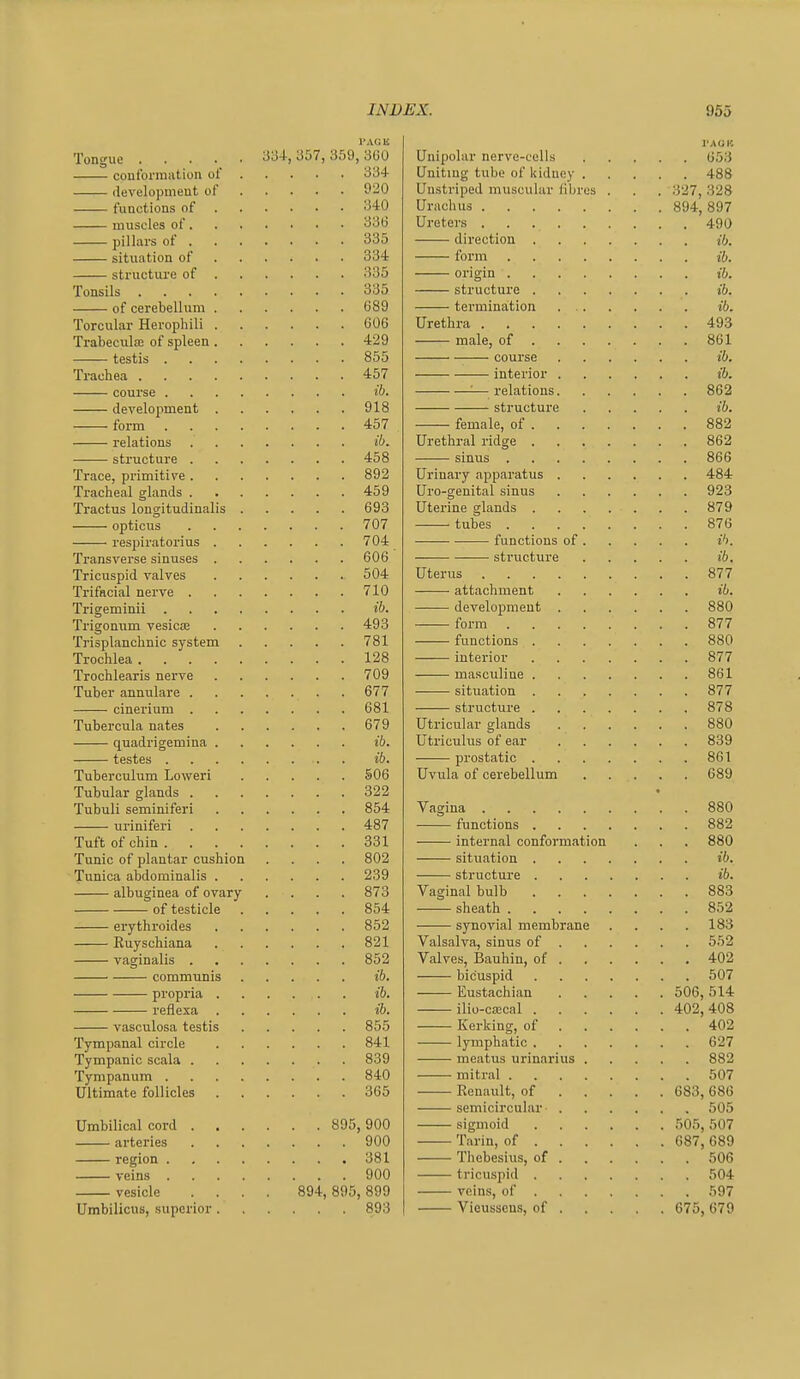 I'.VCli 334, 357, 359, 360 653 conformation of 334 Unitmg tube of Itiduoy . Uustriped muscular (iljros . 488 development of 920 . . 327, 328 340 897 336 490 335 direction ib 334 form . structure of . 335 335 ih. 689 termination . . ib. 606 493 429 861 855 course ib. 457 interior . ib. //) '■— relations. 862 918 structure ib. 457 882 ■//. 862 458 866 892 484 459 Uro-genital sinus 923 Tractus longitudinalis . 693 Uterine glands .... 879 707 876 704 functions of . ih. 606' 504 877 710 -—— attachment ib. 880 493 877 Trisplanchnic system 781 880 128 interior .... 877 709 861 677 877 681 878 679 880 quadrigemina . ib. 839 861 Tuberculum Loweri 506 689 322 • 854 Vagina 880 487 882 Tuft of chin . . . . 331 internal conformation 880 Tunic of plantar cushion 802 fV), albuginea of ovary 873 883 of testicle 854 852 852 synovial membrane 183 821 652 852 402 communis ib. 507 propria . ib. Eustachian . . 506 514 reflexa ib. 408 vasculosa testis 855 402 841 627 839 meatus urinarius . 882 840 507 365 683 686 505 895 900 507 900 687 689 381 506 900 504 vesicle 894, 895 899 597 Umbilicus, superior . 893 Vieusscn.s, of . . . . . 675 679