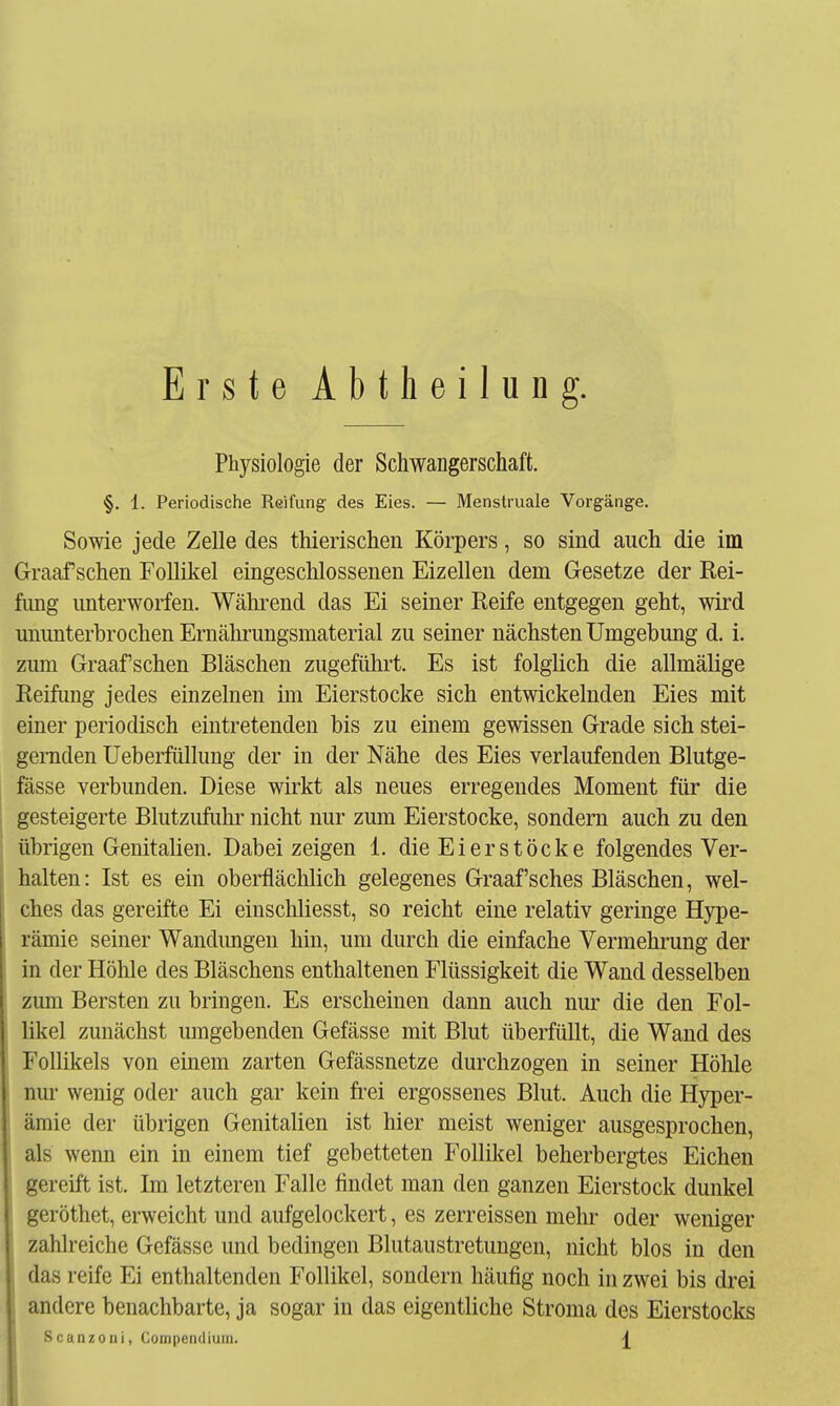 Erste Abtheilung. Physiologie der Schwangerschaft. §. 1. Periodische Reifung des Eies. — Menstruale Vorgänge. Sowie jede Zelle des thierischen Körpers, so sind auch die im Graafschen Follikel eingeschlossenen Eizellen dem Gesetze der Rei- fung imterworfen. Wälnrend das Ei seiner Reife entgegen geht, wird unimterbrochen Ernährungsmaterial zu seiner nächsten Umgebung d. i. zum Graafschen Bläschen zugefühi^t. Es ist folglich die allmälige Reifung jedes einzelnen im Eierstocke sich entwickelnden Eies mit einer periodisch eintretenden bis zu einem gewissen Grade sich stei- gernden Ueberfüllung der in der Nähe des Eies verlaufenden Blutge- fässe verbunden. Diese wirkt als neues erregendes Moment für die gesteigerte Blutzufuhr nicht nur zmn Eierstocke, sondern auch zu den übrigen Genitalien. Dabei zeigen 1. die Eierstöcke folgendes Ver- halten: Ist es ein oberflächlich gelegenes Graafsches Bläschen, wel- ches das gereifte Ei einschliesst, so reicht eine relativ geringe Hype- rämie seiner Wandimgen hin, um durch die einfache Vermehrung der in der Höhle des Bläschens enthaltenen Flüssigkeit die Wand desselben zimi Bersten zu bringen. Es erscheinen dann auch nm' die den Fol- likel zunächst umgebenden Gefässe mit Blut überfüllt, die Wand des Follikels von einem zarten Gefässnetze durchzogen in seiner Höhle nm- wenig oder auch gar kein fi-ei ergossenes Blut. Auch die Hyper- ämie der übrigen Genitalien ist hier meist weniger ausgesprochen, als wenn ein in einem tief gebetteten Follikel beherbergtes Eichen gereift ist. Im letzteren Falle findet man den ganzen Eierstock dunkel geröthet, erweicht und aufgelockert, es zerreissen mehr oder weniger zahlreiche Gefässe und bedingen Blutaustretungen, nicht blos in den das reife Ei enthaltenden Follikel, sondern häufig noch in zwei bis drei j andere benachbarte, ja sogar in das eigentliche Stroma des Eierstocks