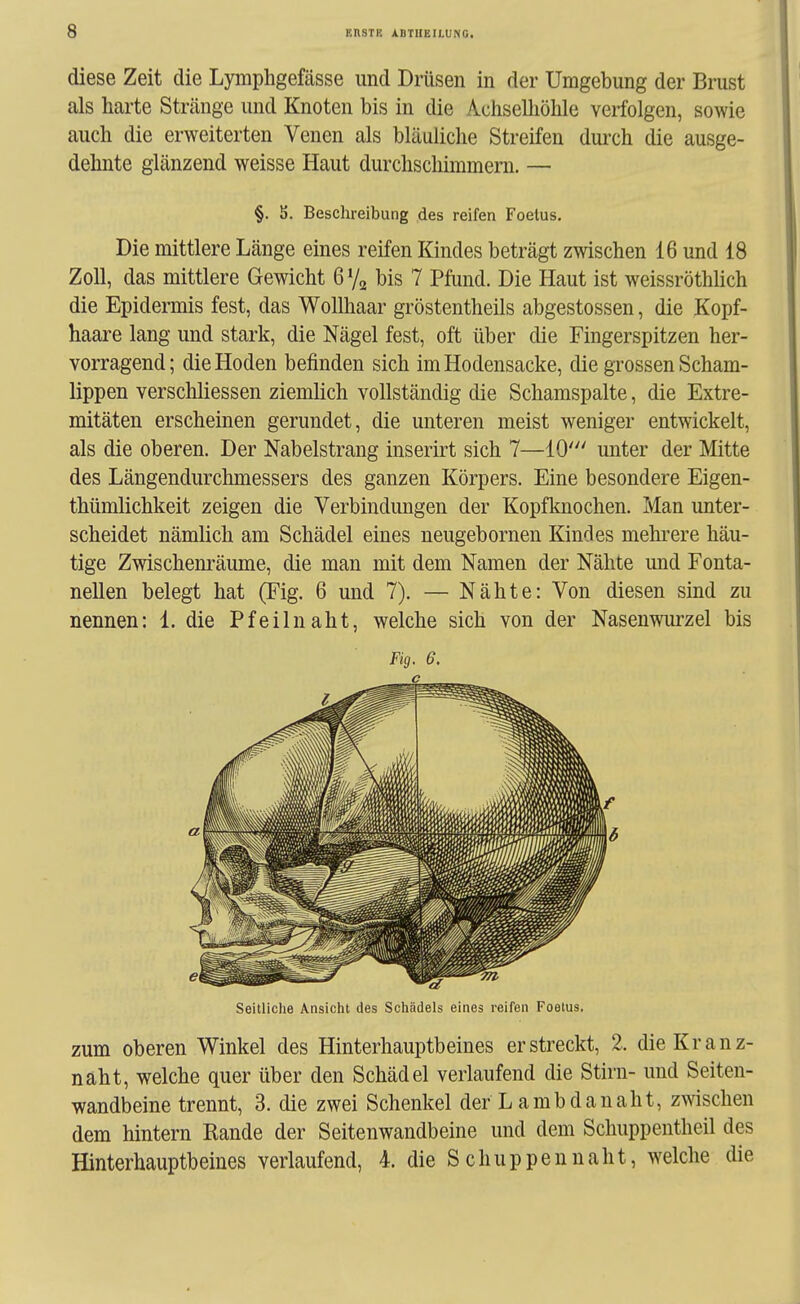 diese Zeit die Lymphgefässe und Drüsen in der Umgebung der Brust als harte Stränge und Knoten bis in die Achselhöhle verfolgen, sowie auch die erweiterten Venen als bläuliche Streifen durch die ausge- dehnte glänzend weisse Haut durchschimmern. — §. S. Beschreibung des reifen Foetus. Die mittlere Länge eines reifen Kindes beträgt zwischen 16 und 18 Zoll, das mittlere Gewicht 6V2 bis 7 Pfund. Die Haut ist weissröthHch die Epidermis fest, das Wollhaar gröstentheils abgestossen, die Kopf- haare lang und stark, die Nägel fest, oft über die Fingerspitzen her- vorragend; die Hoden befinden sich im Hodensacke, die grossen Scham- lippen verschliessen ziemhch vollständig die Schamspalte, die Extre- mitäten erscheinen gerundet, die unteren meist weniger entwickelt, als die oberen. Der Nabelstrang inserirt sich 7—10' unter der Mitte des Längendurchmessers des ganzen Körpers. Eine besondere Eigen- thümlichkeit zeigen die Verbindungen der Kopfknochen. Man unter- scheidet nämlich am Schädel eines neugebornen Kindes mehrere häu- tige Zwischenräume, die man mit dem Namen der Nähte und Fonta- nellen belegt hat (Fig. 6 und 7). — Nähte: Von diesen sind zu nennen: 1. die Pfeilnaht, welche sich von der Nasenwurzel bis Fig. 6. c Seitliche Ansicht des Schädels eines reifen Foetus. zum oberen Winkel des Hinterhauptbeines erstreckt, 2. die Kranz- naht, welche quer über den Schädel verlaufend die Stirn- und Seiten- wandbeine trennt, 3. die zwei Schenkel der L ambdanaht, zwischen dem hintern Rande der Seitenwandbeine und dem Schuppentheil des Hinterhauptbeines verlaufend, 4. die S chuppennaht, welche die