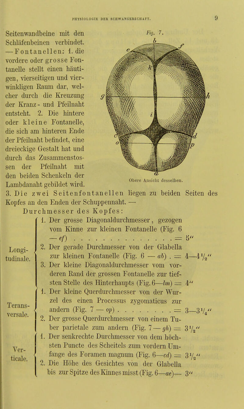 Obere Ansicht desselben. Seiteiiwanclbeine mit den Schläfenbeinen verbindet. — Fontanellen: 1. die vordere oder grosse Fon- tanelle stellt einen häuti- gen, vierseitigen und vier- wiukligen Kaimi dar, wel- cher durch die Kreuzung der lü-anz- und Pfeilnaht entsteht. 2. Die hintere oder kleine Fontanelle, die sich am hinteren Ende der Pfeilnaht befindet, eine dreieckige Gestalt hat und durch das Zusammenstos- sen der Pfeilnaht mit den beiden Schenkeln der Lambdanaht gebildet wird. 3. Die zwei Seitenfontanellen liegen zu beiden Seiten des Kopfes an den Enden der Schuppennaht. — Durchmesser des Kopfes: 1. Der grosse Diagonaldurchmesser, gezogen vom Kinne zur kleinen Fontanelle (Fig. 6 — ef) = 2. Der gerade Durchmesser von der Glabella ziu- kleinen Fontanelle (Fig. 6 — ah) . — 4—ly, 3. Der kleine Diagonaldurchmesser vom vor- deren Rand der grossen Fontanelle zur tief- sten Stelle des Hinterhaupts (Fig. 6—Im) — 4 1. Der kleine Querdurchmesser von der Wur- zel des einen Processus zygomaticus zur andern (Fig. 7 — op) 2. Der grosse Querdurchmesser von einem Tu- ber parietale zum andern (Fig. 7 — gh) =: Sy^'' 1. Der senkrechte Durchmesser von dem höch- sten Puncto des Scheitels zum vordem Um- fange des Foramen magnum (Fig. 6—cd) = Sy^ 2. Die Höhe des Gesichtes von der Glabella bis zur Spitze des Kinnes misst (Fig. 6—ae)— 3 Longi- tudinale. Terans- versale. ) 3—3V4 Ver- ticale.