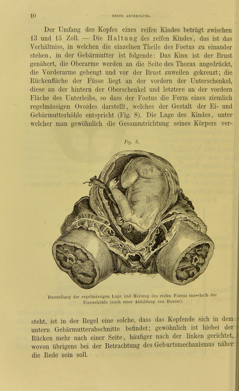 Der Umfang des Kopfes eines reifen Kindes beträgt zwischen 13 und 15 Zoll. — Die Haltung des reifen Kindes', das ist das Verhältniss, in welchen die einzelnen Tlieilc des Foetus zu einander stehen, in der Gebärmutter ist folgende: Das Kinn ist der Brust genähert, die Oberarme werden an die Seite des Thorax angedrückt, die Vorderarme gebeugt und vor der Brust zuweilen gekreuzt; die Rückenfläche der Füsse liegt an der vordem der Unterschenkel, diese an der hintern der Oberschenkel und letztere an der vordem Fläche des Unterleibs, so dass der Foetus die Form eines ziemlich regelmässigen Ovoides darstellt, welches der Gestalt der Ei- und Gebärmutterhöhle entspricht (Fig. 8). Die Lage des Kindes, unter welcher man gewöhnlich die Gesammtrichtung seines Körpers ver- Fig. 8. Darstellung der regelmässigen Lage und Haltung des reifen Foetus inrnrhalb Uterushöhle (nach einer Abbildung von Hunter). Steht, ist in der Regel eine solche, dass das Kopfende sich in dem untern Gebärmutterabschnitte befindet; gewöhnlich ist hiebei der Rücken mehr nach einer Seite, häufiger nach der linken gerichtet, wovon übrigens bei der Betrachtung des Geburtsmeclianismus näher, die Rede sein soll.