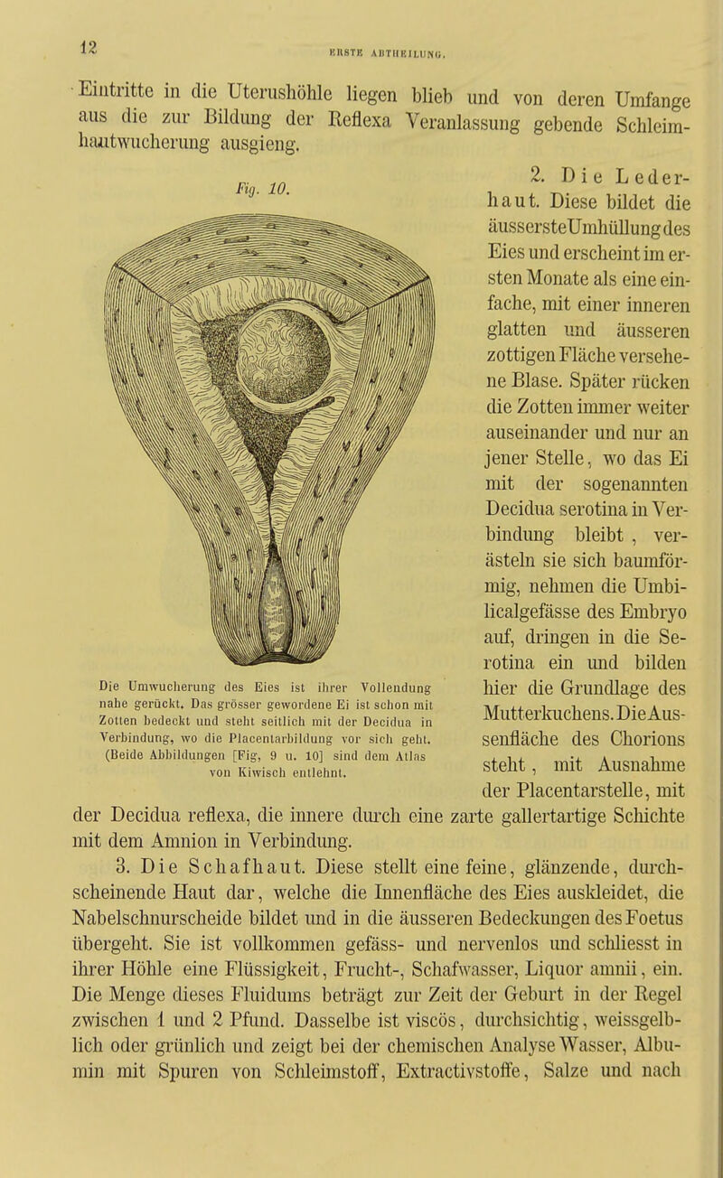 HUSTE ADTIIBILIJNU. Eintritte in die Uterusliöhle liegen blieb und von deren Umfange aus die zur Bildung der Reflexa Veranlassung gebende Schleim- haiitwucherung ausgieng. Fig. 10. 2. D i e L e d e r- haut. Diese bildet die äussersteUmhüllung des Eies und erscheint im er- sten Monate als eine ein- fache, mit einer inneren glatten und äusseren zottigen Fläche versehe- ne Blase. Später rücken die Zotten immer weiter auseinander und nur an jener Stelle, wo das Ei mit der sogenannten Decidua serotina in Ver- bindung bleibt , ver- ästeln sie sich baumför- mig, nehmen die Umbi- licalgefässe des Embryo auf, dringen in die Se- rotina ein mid bilden hier die Grundlage des Mutterkuchens. Die Aus- senfläche des Chorions steht, mit Ausnahme der Placentarstelle, mit der Decidua reflexa, die innere diuxh eine zarte gallertartige Schichte mit dem Amnion in Verbindung. 3. Die Schaf haut. Diese stellt eine feine, glänzende, durch- scheinende Haut dar, welche die Innenfläche des Eies ausldeidet, die Nabelschnurscheide bildet und in die äusseren Bedeckungen des Foetus übergeht. Sie ist vollkommen gefäss- und nervenlos und schliesst in ihrer Höhle eine Flüssigkeit, Frucht-, Schafwasser, Liquor amnii, ein. Die Menge dieses Fluidums beträgt zur Zeit der Geburt in der Regel zwischen 1 und 2 Pfund, Dasselbe ist viscös, durchsichtig, weissgelb- lich oder grünlich und zeigt bei der chemischen Analyse Wasser, Albu- min mit Spuren von Schleimstoff, Extractivstolfe, Salze und nach Die Umwucherung des Eies ist ilirer Vollendung nahe gerückt. Das grösser gewordene Ei ist schon mit Zotten bedeckt und steht seitlich mit der Decidua in Verbindung, wo die Placentarbildung vor sich geht. (Beide Abbildungen [Fig, 9 u. 10] sind dem Atlas von Kiwisch entlehnt.