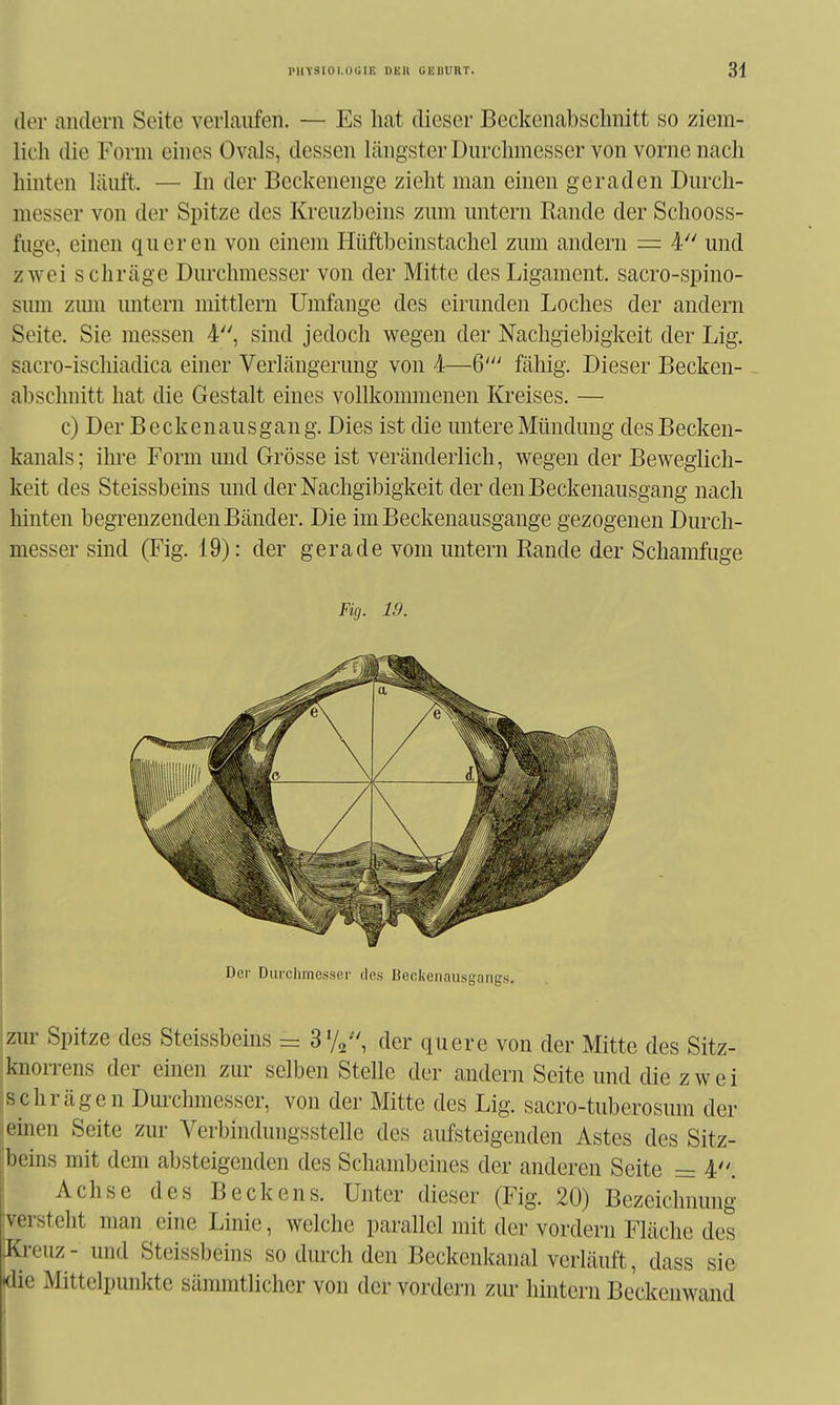 der andern Seite verlaufen. — Es hat dieser Beckenabsclmitt so ziem- lich die Form eines Ovals, dessen längster Durchmesser von vorne nach hinten läuft. — In der Beckenenge zieht man einen geraden Durch- messer von der Spitze des Kreuzbeins zum untern Rande der Schooss- fuge, einen queren von einem Hüftbeinstachel zum andern =: 4 und zwei schräge Durchmesser von der Mitte des Ligament, sacro-spino- sum zmn untern mittlem Umfange des eirunden Loches der andern Seite. Sie messen 4, sind jedoch wegen der Nachgiebigkeit der Lig. sacro-ischiadica einer Verlängerung von 4—6' fällig. Dieser Becken- abschnitt hat die Gestalt eines vollkommenen Kreises. — c) Der Beckenausgang. Dies ist die untere Mündung des Becken- kanals; ihre Form und Grösse ist veränderlich, wegen der Beweglich- keit des Steissbeins und der Nachgibigkeit der den Beckenausgang nach hinten begrenzenden Bänder. Die im Beckenausgange gezogenen Durch- messer sind (Fig. 19): der gerade vom untern Rande der Schamfuge Fig. 19. Der Durchmesser des ßeckenausgangs. zur Spitze des Steissbeins = S'/^''', der quere von der Mitte des Sitz- knorrens der einen zur selben Stelle der andern Seite und die zwei jschrägen Durchmesser, von der Mitte des Lig. sacro-tuberosum der einen Seite zur Verbindungsstelle des aufsteigenden Astes des Sitz- beins mit dem absteigenden des Schambeines der anderen Seite = 4. Achse des Beckens. Unter dieser (Fig. 20) Bezeichnung versteht man eine Linie, welche parallel mit der vordem Fläche des Kreuz- und Steissbeins so durch den Beckenkanal verläuft, dass sie die Mittelpunkte sämmtlichcr von der vordem zm' hintern Beckenwand