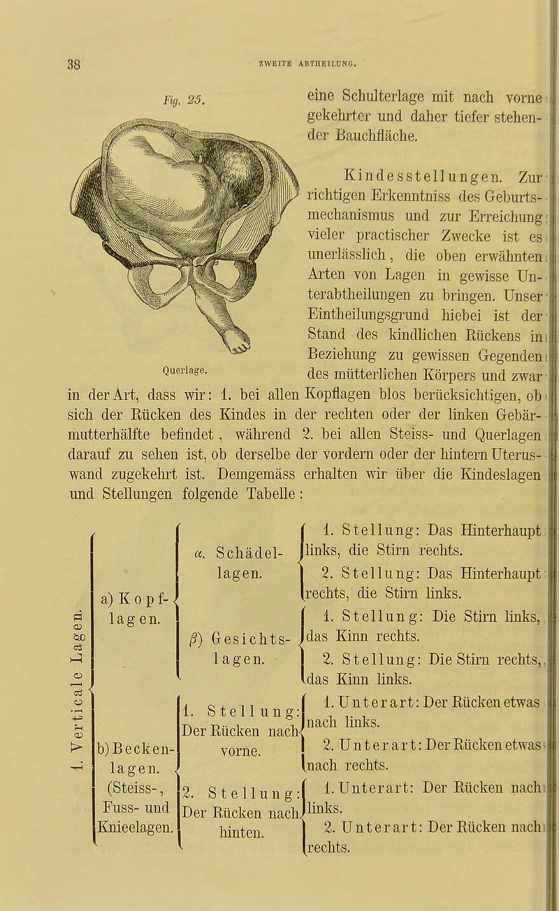 Fig. 25. eine Schulterlage mit nach vorae gekehrter und daher tiefer stehen- der Bauchfläche. Kindesstellungen. Zur 3f richtigen Erkenntniss des Geburts- mechanismus und zur Erreichung vieler practischer Zwecke ist es unerlässlich, die oben erwähnten Arten von Lagen in gewisse Un-- terabtheilungen zu bringen. Unser Eintheilungsgrund hiebei ist der Stand des kindlichen Kückens in Beziehung zu gewissen Gegenden des mütterlichen Körpers und zwar in der Art, dass wir: 1. bei allen Kopflagen blos berücksichtigen, ob sich der Rücken des Kindes in der rechten oder der linken Gebär- mutterhälfte befindet, während 2. bei allen Steiss- und Querlagen. darauf zu sehen ist, ob derselbe der vordem oder der hintern Uterus- wand zugekehrt ist. Demgemäss erhalten wir über die Kindeslagen und Stellungen folgende Tabelle: Querlage. ÖD 03 ü <1> a) Kopf- lagen. a. Schädel- lagen. b) Becken- lagen. (Steiss-, Fuss- und Knieelagen. ß) Gesichts- lagen. 1. Stell ung: Der Rücken nach vorne. 2. Stell Der Rücken hinten 1. Stellung: Das Hinterhaupt links, die Stirn rechts. 2. Stellung: Das Hinterhaupt rechts, die Stirn links. 1. Stellung: Die Stirn links, das Kinn rechts. 2. Stellung: Die Stirn rechts,, das Kinn links. 1. U n t e r a r t: Der Rücken etwas nach links. 2. U n t e r a r t: Der Rücken etwas= [.nach rechts. t: Der Rücken nach» ung:( i-Unterar i nachJliiiks. 2. Unterart: echts. Der Rücken nachi