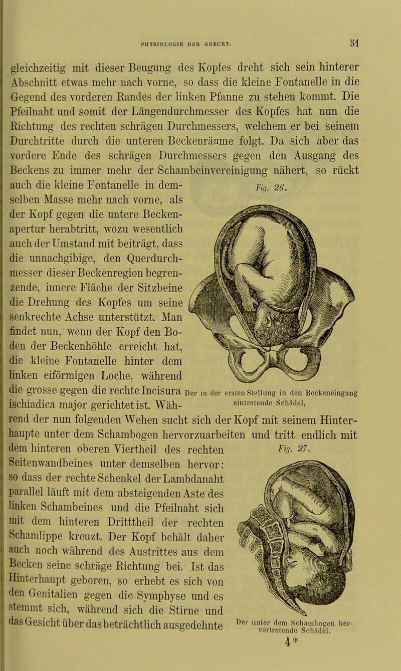 PHYSIOI.OGIK ÜH.H UKBURT. Sl uleichzeitig mit dieser Beugung des Kopfes dreht sich sein hinterer Abschnitt etwas mehr nach vorne, so dass die Ideine Fontanelle in die I it'i^end des vorderen Randes der linken Pfanne zu stehen kommt. Die l'feilnalit und somit der Längendurchmesser des Kopfes hat nun die Richtung des rechten schrägen Durchmessers, welchem er bei seinem Durchtritte durch die unteren Beckenräume folgt. Da sich aber das vordere Ende des schrägen Durchmessers gegen den Ausgang des Beckens zu immer mehr der Schambeinvereinigimg nähert, so rückt Fig. 26. auch die kleine Fontanelle in dem- selben Masse mehr nach vorne, als der Kopf gegen die untere Becken- apertur herabtritt, wozu wesentlich auch der Umstand mit beiträgt, dass die unnachgibige, den Querdurch- messer dieser Beckenregion begren- zende, innere Fläche der Sitzbeine die Drehung des Kopfes um seine senkrechte Achse unterstützt. Man findet nun, wenn der Kopf den Bo- den der Beckenhöhle erreicht hat, die kleine Fontanelle hinter dem linken eiförmigen Loche, während die gl'OSSe gegen die rechte Incisura Der in der ersten Stellung in den Beckeneingang ischiadica major gerichtet ist. Wäh- eintretende schädei, rend der nun folgenden Wehen sucht sich der Kopf mit seinem Hinter- haupte unter dem Schambogen hervorzuarbeiten und tritt endlich mit dem hinteren oberen Viertheil des rechten Seitenwandbeines unter demselben hervor: so dass der rechte Schenkel der Lambdanaht parallel läuft mit dem absteigenden Aste des linken Schambeines und die Pfeilnaht sich mit dem hinteren Dritttheil der rechten Schamlippe kreuzt. Der Kopf behält daher auch noch während des Austrittes aus dem Becken seine scliräge Richtung bei. Ist das Hinterhaupt geboren, so erhebt es sich von den Genitalien gegen die Symphyse und es stemmt sich, während sich die Stirne und das Gesicht über das beträchtlich ausgedehnte Fig. 27. Der unter dem Sclinmbogcu lier- vorlrolendo Schiidol. 4*