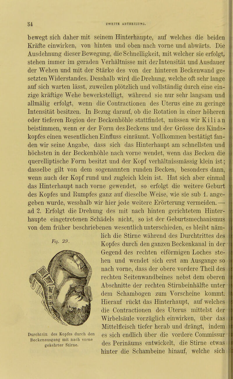 bewegt sich daher mit seinem Hinterhaupte, auf welches die beiden Kräfte einwirken, von hinten und oben nach vorae und abwärts. Die Ausdehnung dieser Bewegung, die Schnelligiceit, mit welcher sie erfolgt, stehen immer im geraden Verhältnisse mit der Intensität und Ausdauer der Wehen und mit der Stärke des von der hinteren Beckenwand ge- setzten Widerstandes. Desshalb wird die Drehung, welche oft sehr lange auf sich warten lässt, zuweilen plötzlich und vollständig durch eine ein- zige kräftige Wehe bewerkstelligt, während sie nur sehr langsam und allmälig erfolgt, wenn die Contractionen des Uterus eine zu geringe Intensität besitzen. In Bezug darauf, ob die Rotation in einer höheren oder tieferen Region der Beckenhöhle stattfindet, müssen wir Kili an beistimmen, wenn er der Form des Beckens und der Grösse des Kinds- kopfes einen wesentlichen Einfluss einräumt. Vollkommen bestätigt fan- den wir seine Angabe, dass sich das Hinterhaupt am schnellsten und höchsten in der Beckenhöhle nach vorne wendet, wenn das Becken die querelliptische Form besitzt und der Kopf verhältnissmässig klein ist; dasselbe gilt von dem sogenannten runden Becken, besonders dann, wenn auch der Kopf rund und zugleich klein ist. Hat sich aber einmal das Hinterhaupt nach vorne gewendet, so erfolgt die weitere Geburt des Kopfes und Rumpfes ganz auf dieselbe Weise, wie sie sub 1. ange- geben wurde, wesshalb wir hier jede weitere Erörterung vermeiden. — ad 2. Erfolgt die Drehung des mit nach hinten gerichtetem Hinter- haupte eingetretenen Schädels nicht, so ist der Geburtsmechanismus von dem früher beschriebenen wesentlich unterschieden, es bleibt näm- lich die Stirne während des Dmxhtrittes des Kopfes durch den ganzen Beckenkanal in der Gegend des rechten eiförmigen Loches ste- hen und wendet sich erst am Ausgange so nach vorne, dass der obere vordere Theil des rechten Seitenwandbeines nebst dem oberen Abschnitte der rechten Stirnbeinhälfte unter dem Schambogen zum Vorscheine kommt. Hierauf rückt das Hinterhaupt, auf welches die Contractionen des Uterus mittelst der Wirbelsäule vorzüglich einwirken, über das Mittelfleisch tiefer herab und di'ängt, indem Fig. 29. Durchtritt des Kopfes durch den Beckenausgang mit nach vorno gekehrter Stirne. es sich endlich über die vordere Commissur des Perinäums entwickelt, die Stirne etwas hinter die Schambeine hinauf, welche sich