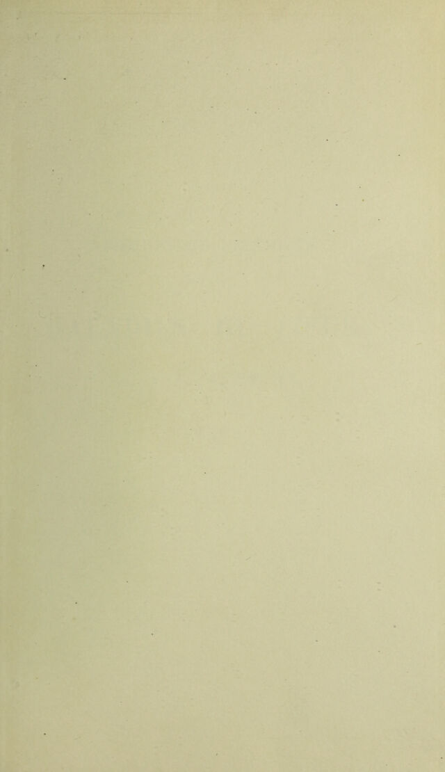 digitised image 3