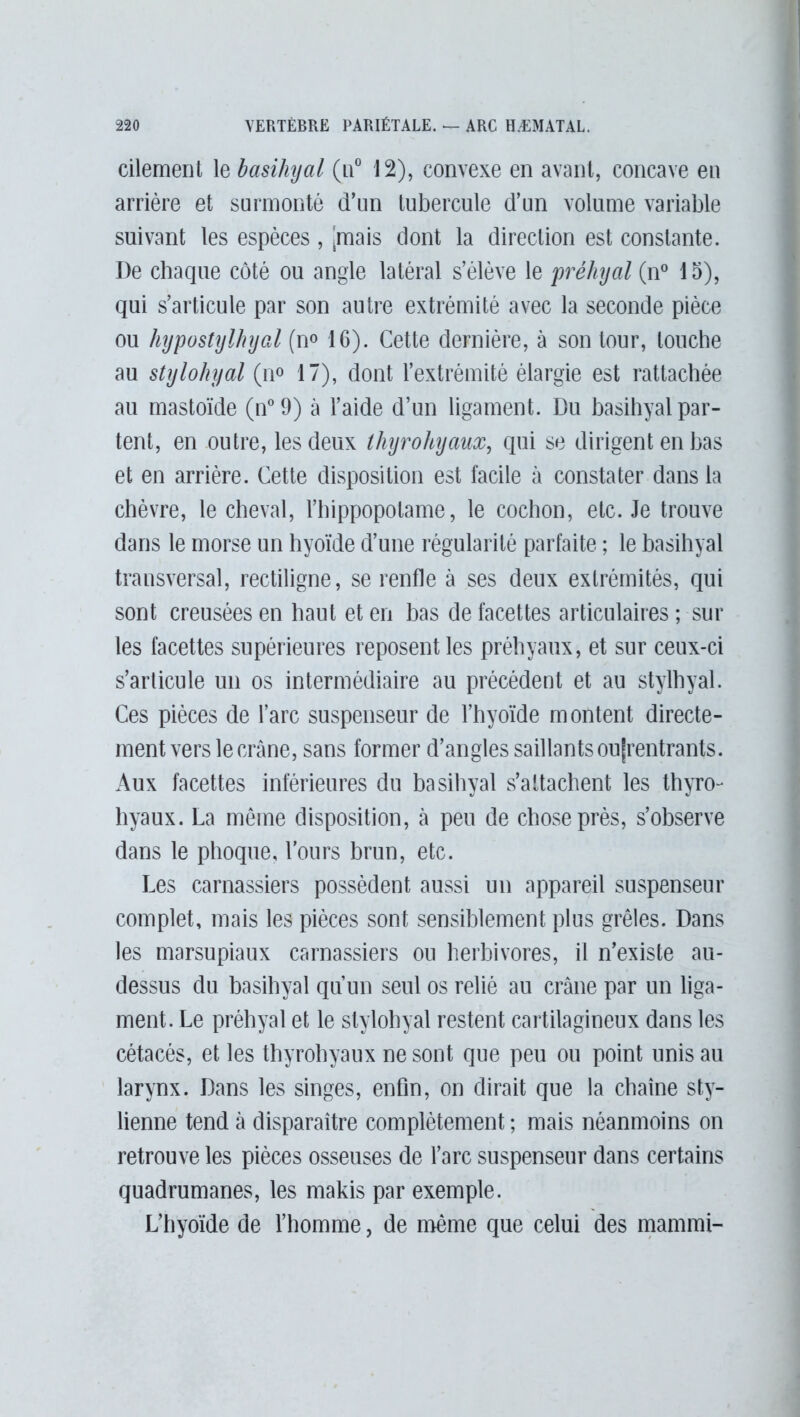 cilemenl le basihyal (a0 12), convexe en avant, concave eu arrière et surmonté d’un tubercule d’un volume variable suivant les espèces , [mais dont la direction est constante. De chaque côté ou angle latéral s’élève le préhyal (n° 15), qui s’articule par son autre extrémité avec la seconde pièce ou hypostylhyal (n° 16). Cette dernière, à son tour, touche au stylohyal (n° 17), dont l’extrémité élargie est rattachée au mastoïde (n°9) à l’aide d’un ligament. Du basihyal par- tent, en outre, les deux thyrohyaux, qui se dirigent en bas et en arrière. Cette disposition est facile à constater dans la chèvre, le cheval, l’hippopolame, le cochon, etc. Je trouve dans le morse un hyoïde d’une régularité parfaite ; le basihyal transversal, rectiligne, se renfle à ses deux extrémités, qui sont creusées en haut et en bas de facettes articulaires ; sur les facettes supérieures reposent les préhyaux, et sur ceux-ci s’articule un os intermédiaire au précédent et au stylhyal. Ces pièces de l’arc suspenseur de l’hyoïde montent directe- ment vers le crâne, sans former d’angles saillants oufrentrants. Aux facettes inférieures du basihyal s’attachent les thyro- hyaux. La même disposition, à peu de chose près, s’observe dans le phoque, l’ours brun, etc. Les carnassiers possèdent aussi un appareil suspenseur complet, mais les pièces sont sensiblement plus grêles. Dans les marsupiaux carnassiers ou herbivores, il n’existe au- dessus du basihyal qu’un seul os relié au crâne par un liga- ment. Le préhyal et le stylohyal restent cartilagineux dans les cétacés, et les thyrohyaux ne sont que peu ou point unis au larynx. Dans les singes, enfin, on dirait que la chaîne sty- lienne tend à disparaître complètement ; mais néanmoins on retrouve les pièces osseuses de l’arc suspenseur dans certains quadrumanes, les makis par exemple. L’hyoïde de l’homme, de même que celui des mammi-