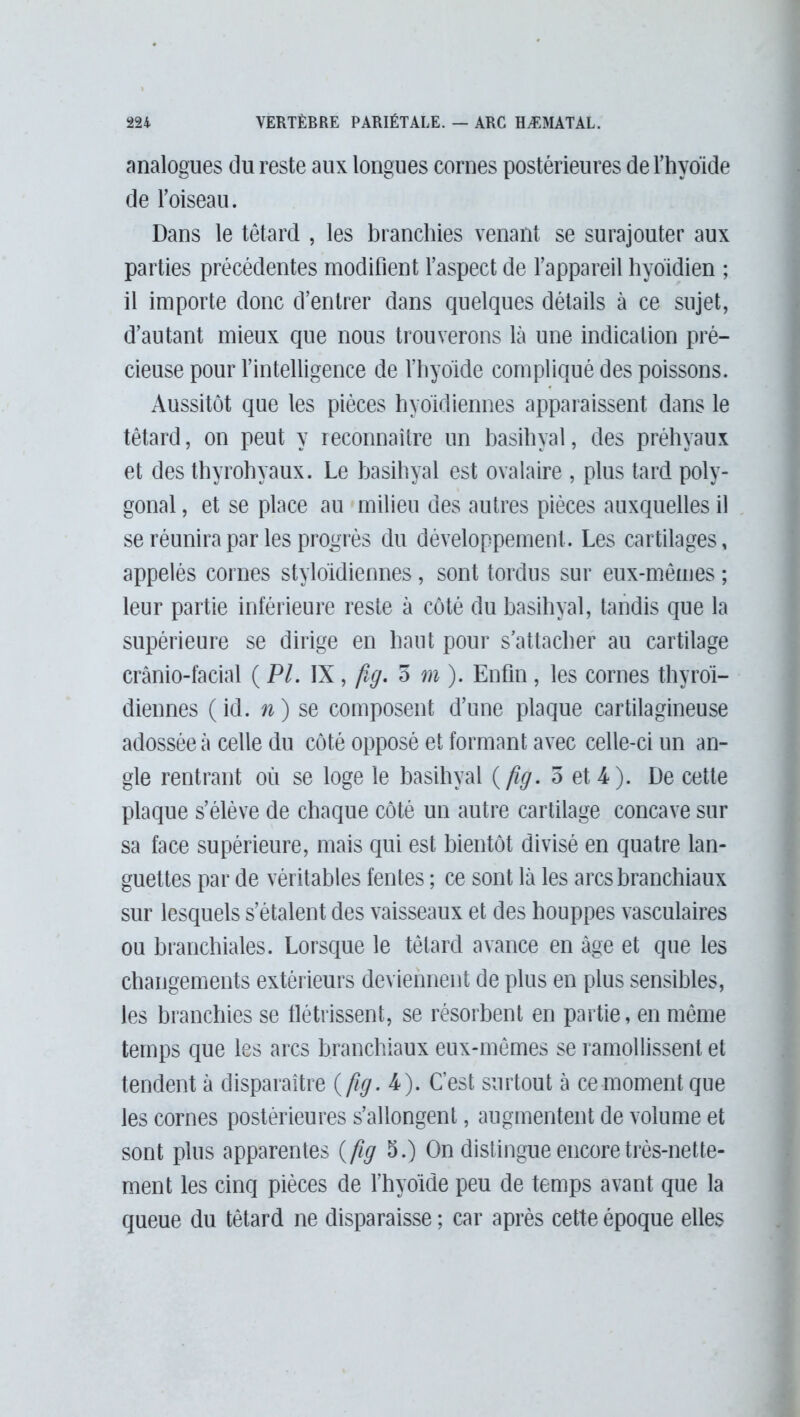 analogues du reste aux longues cornes postérieures de l'hyoïde de l’oiseau. Dans le têtard , les branchies venant se surajouter aux parties précédentes modifient l’aspect de l’appareil hyoïdien ; il importe donc d’entrer dans quelques détails à ce sujet, d’autant mieux que nous trouverons là une indication pré- cieuse pour l’intelligence de l’hyoïde compliqué des poissons. Aussitôt que les pièces hyoïdiennes apparaissent dans le têtard, on peut y reconnaître un basihyal, des préhyaux et des thyrohyaux. Le basihyal est ovalaire , plus tard poly- gonal , et se place au milieu des autres pièces auxquelles il se réunira par les progrès du développement. Les cartilages, appelés cornes styloïdiennes, sont tordus sur eux-mêmes ; leur partie inférieure reste à côté du basihyal, tandis que la supérieure se dirige en haut pour s’attacher au cartilage cranio-facial ( PL IX , fig. 5 m ). Enfin , les cornes thyroï- diennes (id. n) se composent d’une plaque cartilagineuse adossée à celle du côté opposé et formant avec celle-ci un an- gle rentrant où se loge le basihyal (fig.Z et4). De cette plaque s’élève de chaque côté un autre cartilage concave sur sa face supérieure, mais qui est bientôt divisé en quatre lan- guettes par de véritables fentes ; ce sont là les arcs branchiaux sur lesquels s’étalent des vaisseaux et des houppes vasculaires ou branchiales. Lorsque le têtard avance en âge et que les changements extérieurs deviennent de plus en plus sensibles, les branchies se flétrissent, se résorbent en partie, en même temps que les arcs branchiaux eux-mêmes se ramollissent et tendent à disparaître ( fig. 4). C’est surtout à ce moment que les cornes postérieures s’allongent, augmentent de volume et sont plus apparentes ( fig 5.) On distingue encore très-nette- ment les cinq pièces de l’hyoïde peu de temps avant que la queue du têtard ne disparaisse ; car après cette époque elles