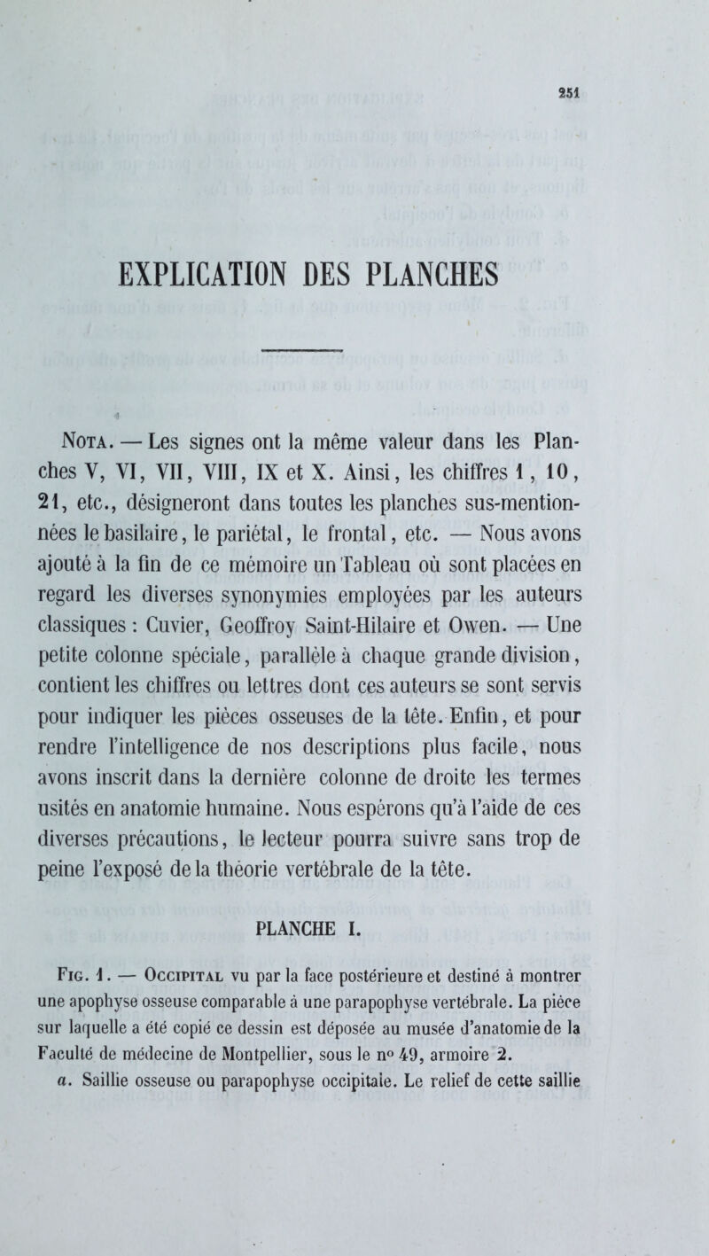 EXPLICATION DES PLANCHES Nota. — Les signes ont la même valeur dans les Plan- ches Y, YI, VII, VIII, IX et X. Ainsi, les chiffres 1, 10, 21, etc., désigneront dans toutes les planches sus-mention- nées le basilaire, le pariétal, le frontal, etc. — Nous avons ajouté à la fin de ce mémoire un Tableau où sont placées en regard les diverses synonymies employées par les auteurs classiques : Cuvier, Geoffroy Saint-Hilaire et Owen. — Une petite colonne spéciale, parallèle à chaque grande division, contient les chiffres ou lettres dont ces auteurs se sont servis pour indiquer les pièces osseuses de la tête. Enfin, et pour rendre l’intelligence de nos descriptions plus facile, nous avons inscrit dans la dernière colonne de droite les termes usités en anatomie humaine. Nous espérons qu’à l’aide de ces diverses précautions, le lecteur pourra suivre sans trop de peine l’exposé delà théorie vertébrale de la tête. PLANCHE I. Fig. \. — Occipital vu par la face postérieure et destiné à montrer une apophyse osseuse comparable à une parapophyse vertébrale. La pièce sur laquelle a été copié ce dessin est déposée au musée d’anatomie de la Faculté de médecine de Montpellier, sous le n° 49, armoire 2. a. Saillie osseuse ou parapophyse occipitale. Le relief de cette saillie