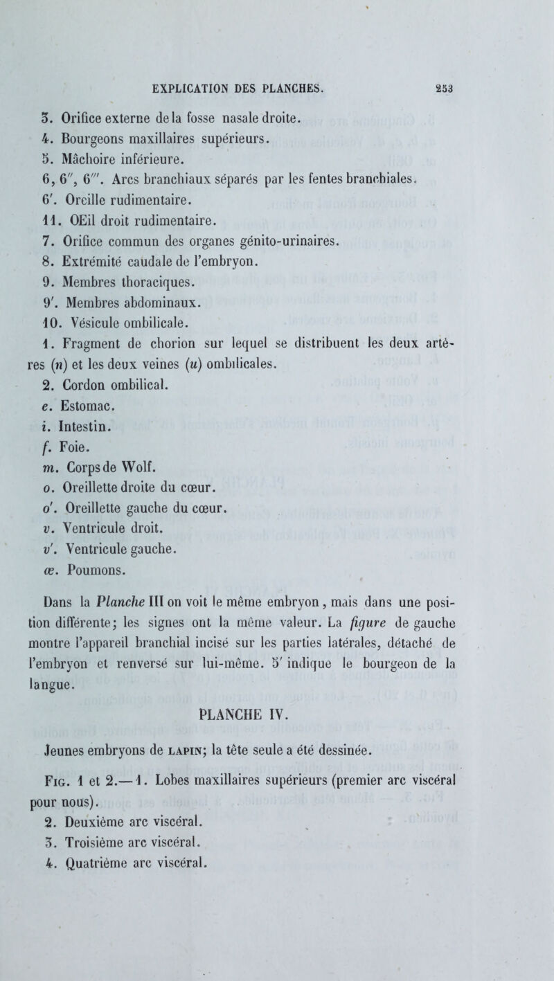 3. Orifice externe delà fosse nasale droite. 4. Bourgeons maxillaires supérieurs. 5. Mâchoire inférieure. 6. 6, 6'. Arcs branchiaux séparés par les fentes branchiales. 6'. Oreille rudimentaire. 11. OEil droit rudimentaire. 7. Orifice commun des organes génito-urinaires. 8. Extrémité caudale de l’embryon. 9. Membres thoraciques. 9'. Membres abdominaux. 10. Vésicule ombilicale. 1. Fragment de chorion sur lequel se distribuent les deux artè- res (n) et les deux veines (u) ombilicales. 2. Cordon ombilical. e. Estomac. 1. Intestin. f. Foie. m. Corps de Wolf. o. Oreillette droite du cœur, o'. Oreillette gauche du cœur. v. Ventricule droit. v\ Ventricule gauche. œ. Poumons. Dans la Planche III on voit le même embryon , mais dans une posi- tion différente; les signes ont la même valeur. La figure de gauche montre l’appareil branchial incisé sur les parties latérales, détaché de l’embryon et renversé sur lui-même. 5' indique le bourgeon de la langue. PLANCHE IV. Jeunes embryons de lapin; la tête seule a été dessinée. Fig. 1 et 2.— J. Lobes maxillaires supérieurs (premier arc viscéral pour nous). 2. Deuxième arc viscéral. 3. Troisième arc viscéral. 4. Quatrième arc viscéral.