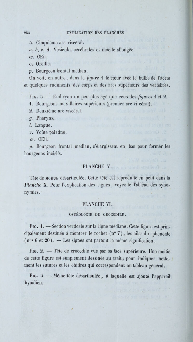 5. Cinquième arc viscéral. a, b, c, d. Vésicules cérébrales et moelle allongée. œ. OEil. 0. Oreille. p. Bourgeon frontal médian. On voit, en outre, dans la figure \ le cœur avec le bulbe de l’aorte et quelques rudiments des corps et des arcs supérieurs des vertèbres. Fig. 5. — Embryon un peu plus âgé que ceux des figures i et 2. \. Bourgeons maxillaires supérieurs (premier arc vi céral). 2. Deuxième arc viscéral. g. Pharynx. 1. Langue. v. Voûte palatine. œ. OEil. p. Bourgeon frontal médian, s’élargissant en bas pour former les bourgeons incisifs. PLANCHE V. Tète de morue désarticulée. Cette tête est reproduite en petit dans la Planche X. Pour l’explication des signes, voyez le Tableau des syno- nymies. PLANCHE VI. OSTÉOLOGIE DU CROCODILE. Fig. 1. —Section verticale sur la ligne médiane. Cette figure est prin- cipalement destinée à montrer le rocher (n° 7), les ailes du sphénoïde (n°s 6 et 20). — Les signes ont partout la même signification. Fig. 2. — Tête de crocodile vue par sa face supérieure. Une moitié de cette figure est simplement dessinée au trait, pour indiquer nette- ment les sutures et les chiffres qui correspondent au tableau général. Fig. 3. — Même tête désarticulée, à laquelle est ajouté l’appareil hyoïdien.