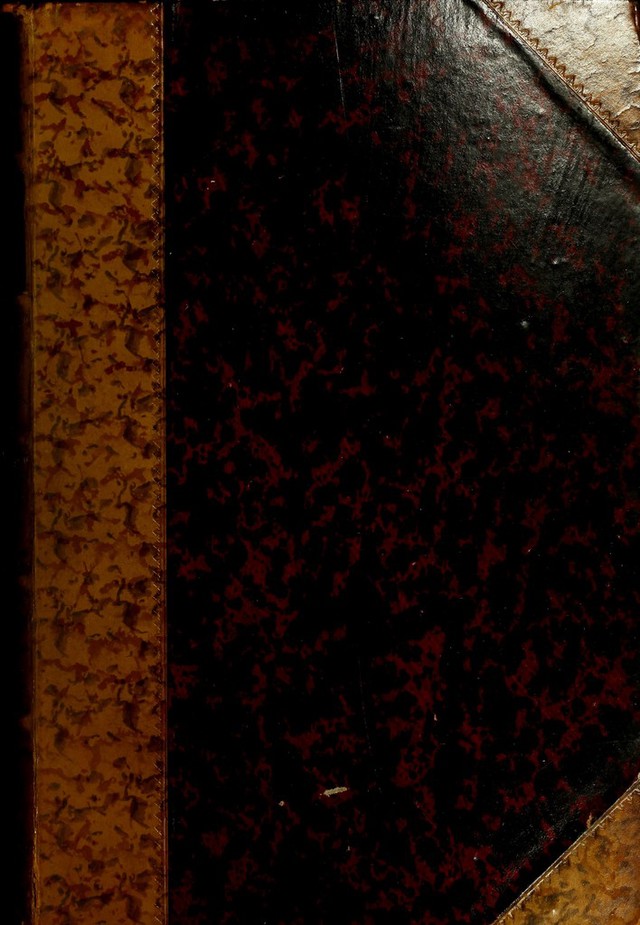 No text description is available for this image