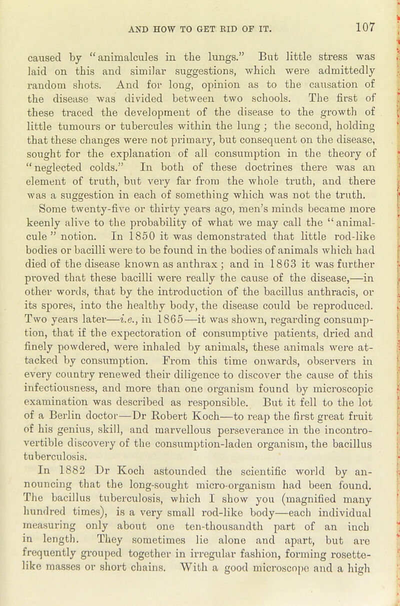 caused by “animalcules in the lungs.” But little stress was laid on this and similar suggestions, which were admittedly random shots. And for long, opinion as to the causation of the disease was divided between two schools. The first of these traced the development of the disease to the growth of little tumours or tubercules within the lung ; the second, holding that these changes were not primary, but consequent on the disease, sought for the explanation of all consumption in the theory of “neglected colds.” In both of these doctrines there was an element of truth, but very far from the whole truth, and there was a suggestion in each of something which was not the truth. Some twenty-five or thirty years ago, men’s minds became more keenly alive to the pi’obability of what we may call the “animal- cule ” notion. In 1850 it was demonstrated that little rod-like bodies or bacilli were to be found in the bodies of animals which had died of the disease known as anthrax; and in 18G3 it was further pi'oved that these bacilli were really the cause of the disease,—in other words, that by the introduction of the bacillus anthracis, or its spores, into the healthy body, the disease could be reproduced. Two years later—i.e., in 1865—it was shown, regarding consump- tion, that if the expectoration of consumptive patients, dried and finely powdered, were inhaled by animals, these animals were at- tacked by consumption. From this time onwards, ob.servers in every country I’enewed their diligence to discover the cause of this infectiousness, and more than one organism found by microscopic examination was described as responsible. But it fell to the lot of a Berlin doctor—Dr Robert Koch—to reap the first great fruit of his genius, skill, and marvellous perseverance in the incontro- vertible discovery of the consumption-laden organism, the bacillus tuberculosis. In 1882 Dr Koch astounded the scientific world by an- nouncing that the long-sought micro-organism had been found. The bacillus tuberculosis, which I show you (magnified many hundred times), is a very small rod-like body—each individual measuring only about one ten-thousandth part of an inch in length. They sometimes lie alone and apart, but are frequently grouped together in irregular fashion, forming rosette- like masses or short chains. With a good microsco[)o and a high