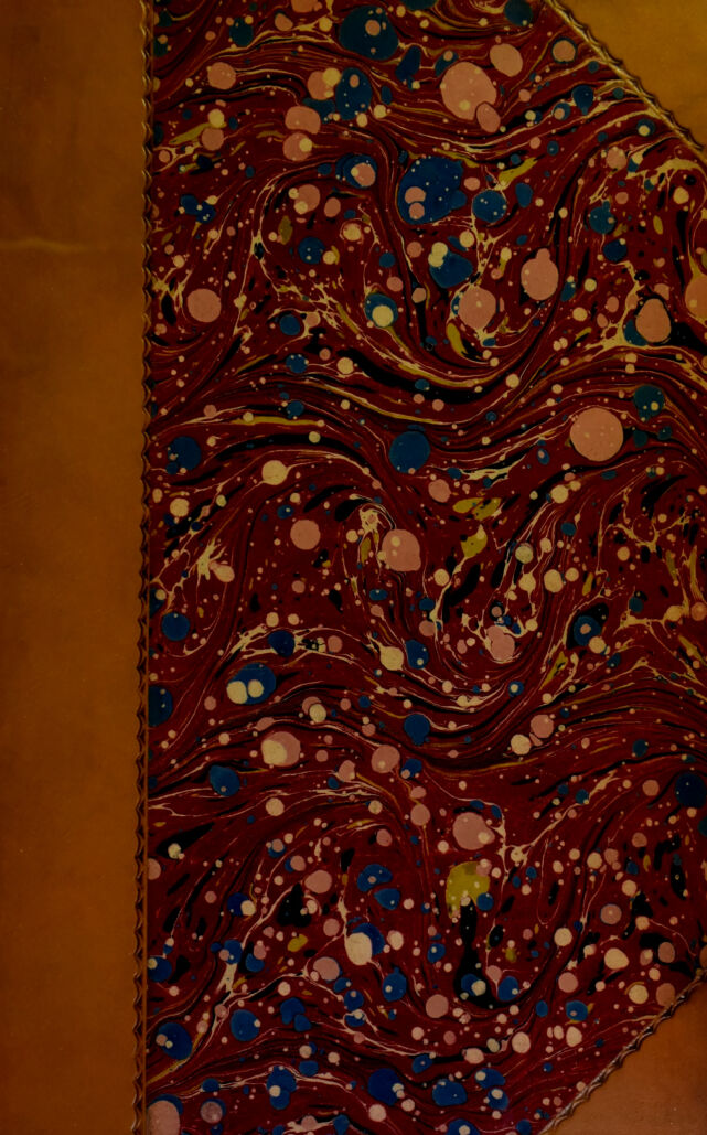 No text description is available for this image