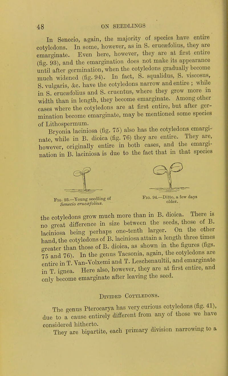 In Senecio, again, the majority of species have entire cotyledons. In some, however, as in S. erucsefoHus, they are emarginate. Even here, however, they are at first entire (fig. 93), and the emargination does not make its appearance until after germination, when the cotyledons gradually become much widened (fig. 94). In fact, S. squaUdus, S. viscosus, S vulgaris, &c. have the cotyledons narrow and entire ; whUe in S. erucEefoUus and S. cruentus, where they grow more m width than in length, they become emarginate. Among other cases where the cotyledons are at first entire, but after ger- mination become emarginate, may be mentioned some species of Lithospermum. Bryonia laciniosa (fig. 75) also has the cotyledons emargi- nate, while in B. dioica (fig. 76) they are entire. They are, however, originally entire in both cases, and the emargi- nation in B. laciniosa is due to the fact that in that species Fie. 98.-Toung seedling of Pi^- 9*--Di°> ^^^^ Senecio eruccsfolius. oiaei. the cotyledons grow much more than in B. dioica. There is no great difference in size between the seeds, those of B. laciniosa being perhaps one-tenth larger. On the other hand the cotyledons of B. laciniosa attain a length three times greater than those of B. dioica, as shown in the figures (figs. 75 and 76). In the genus Tacsonia, again, the cotyledons ai-e entire in T. Van-Volxemi and T. Leschenaultii. and emarginate in T ignea. Here also, however, they are at first entire, and only'become emarginate after leaving the seed. Divided Cotyledons. The genus Pterocarya has very curious cotyledons (fig. 41), due to a cause entirely different from any of those we have considered hitherto. _ . They are bipartite, each primary division narrowing to a